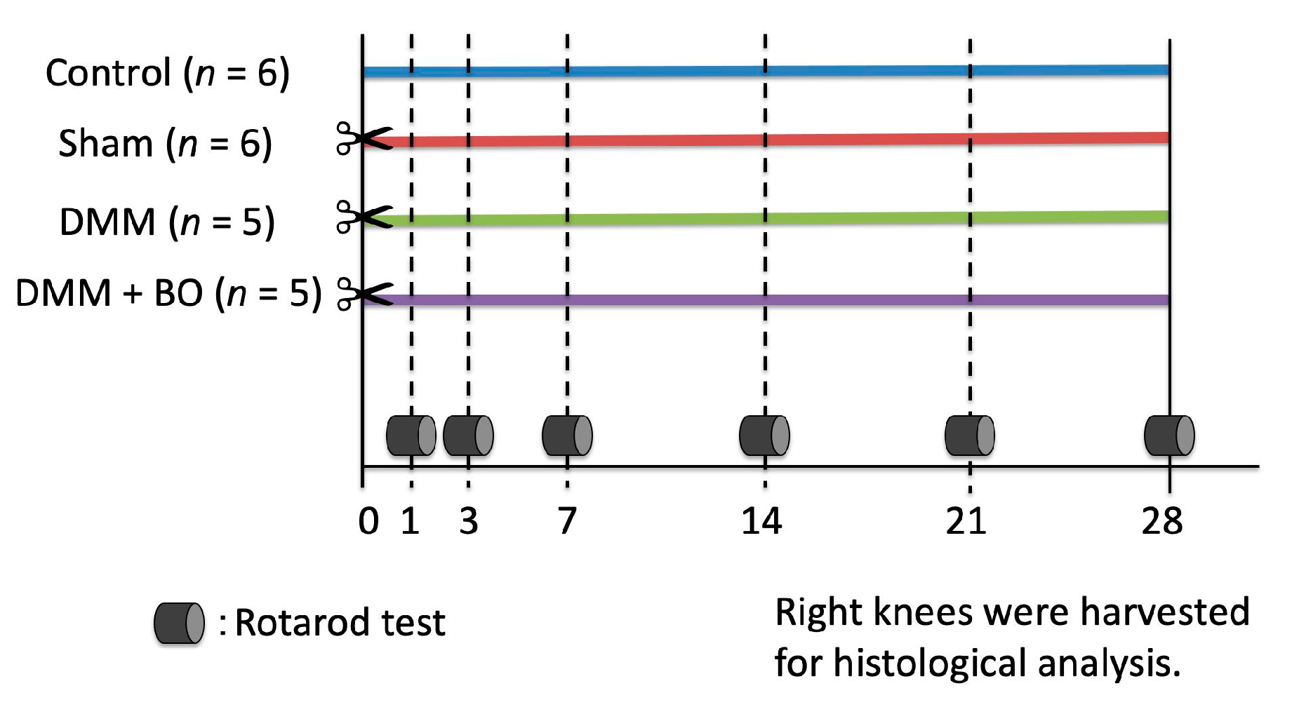 Medicines 07 00074 g001