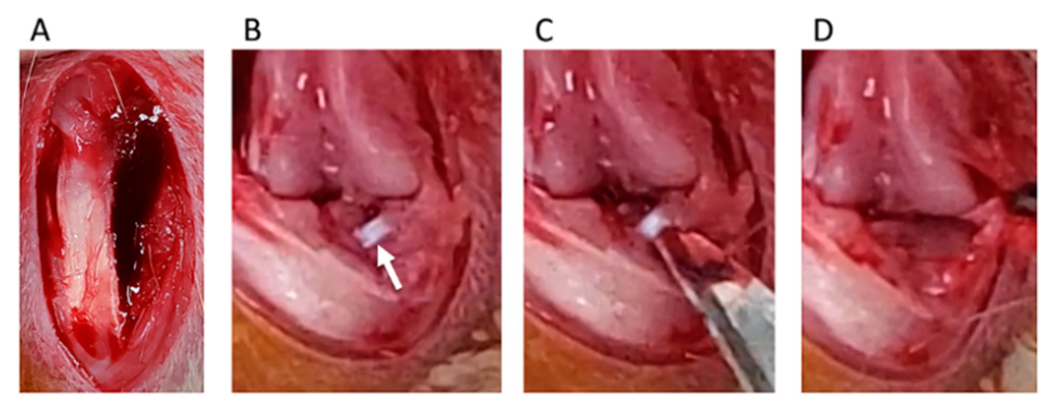 Medicines 07 00074 g002
