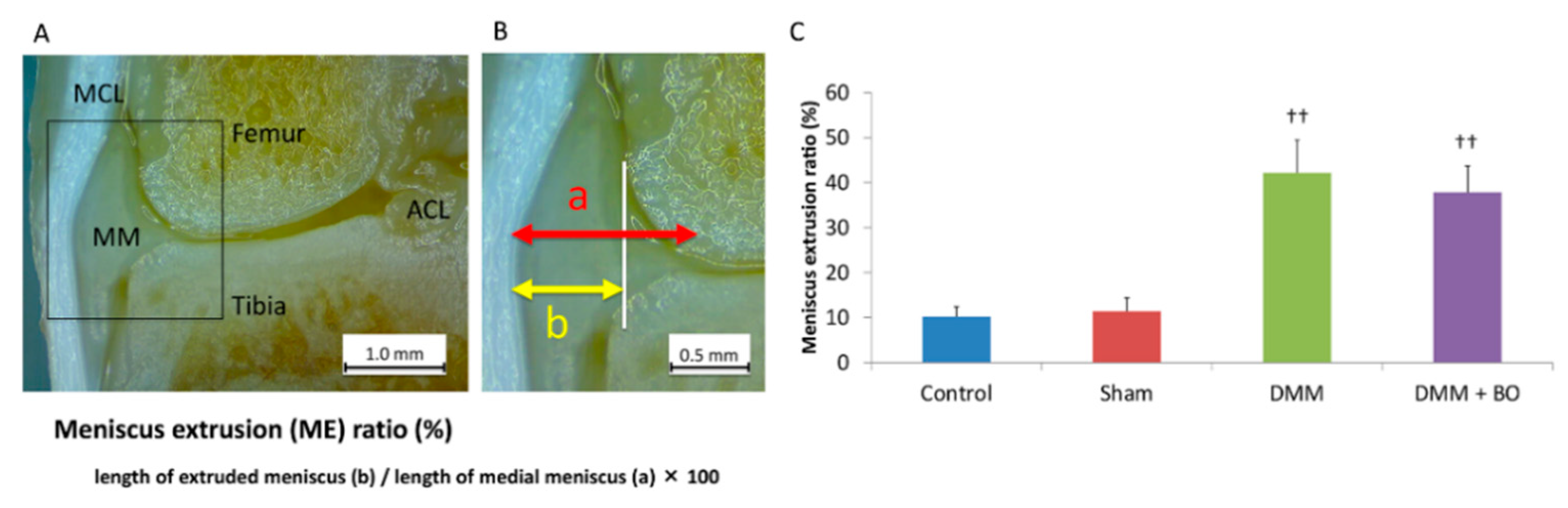 Medicines 07 00074 g003