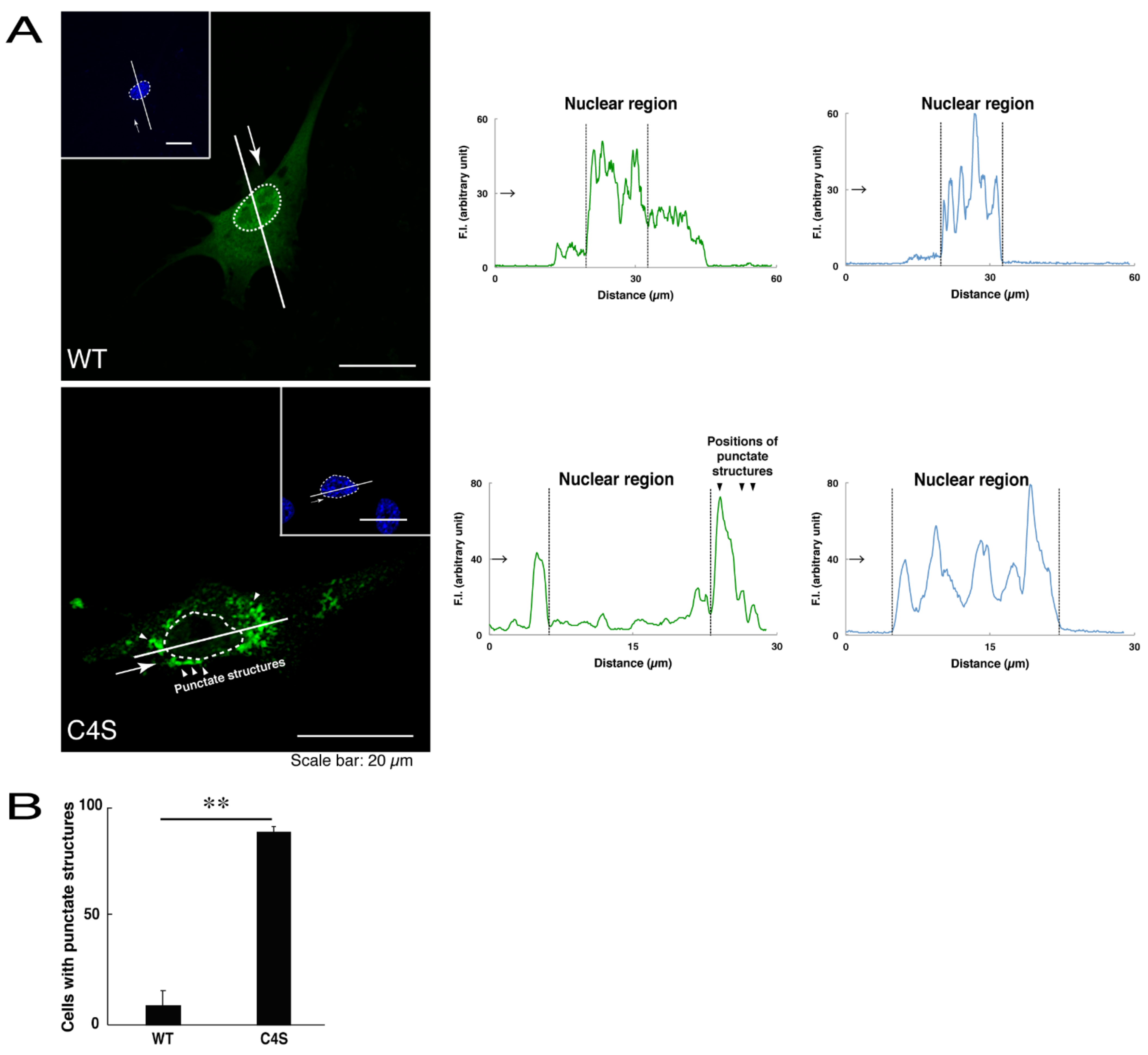 Medicines 08 00009 g001