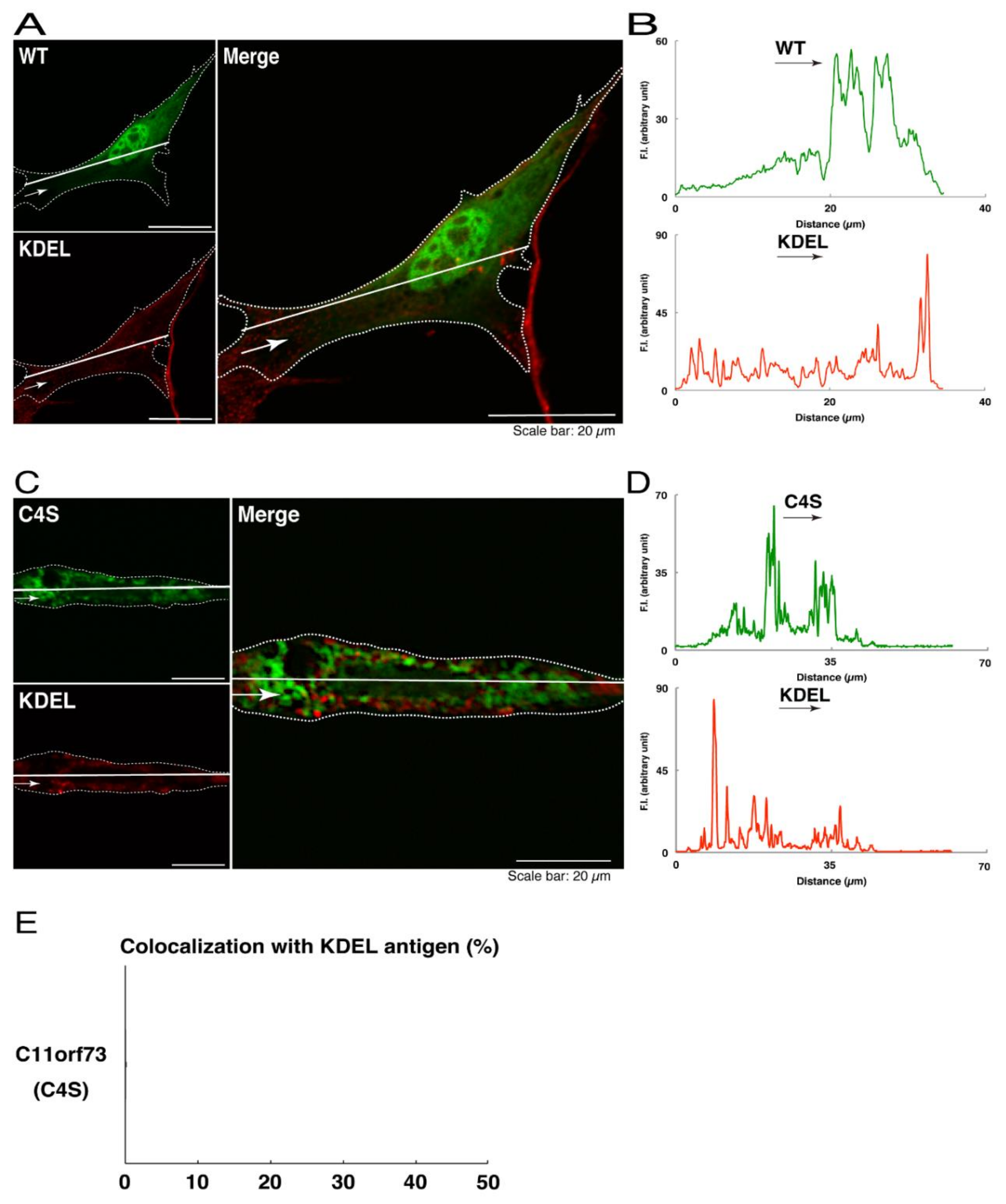 Medicines 08 00009 g002