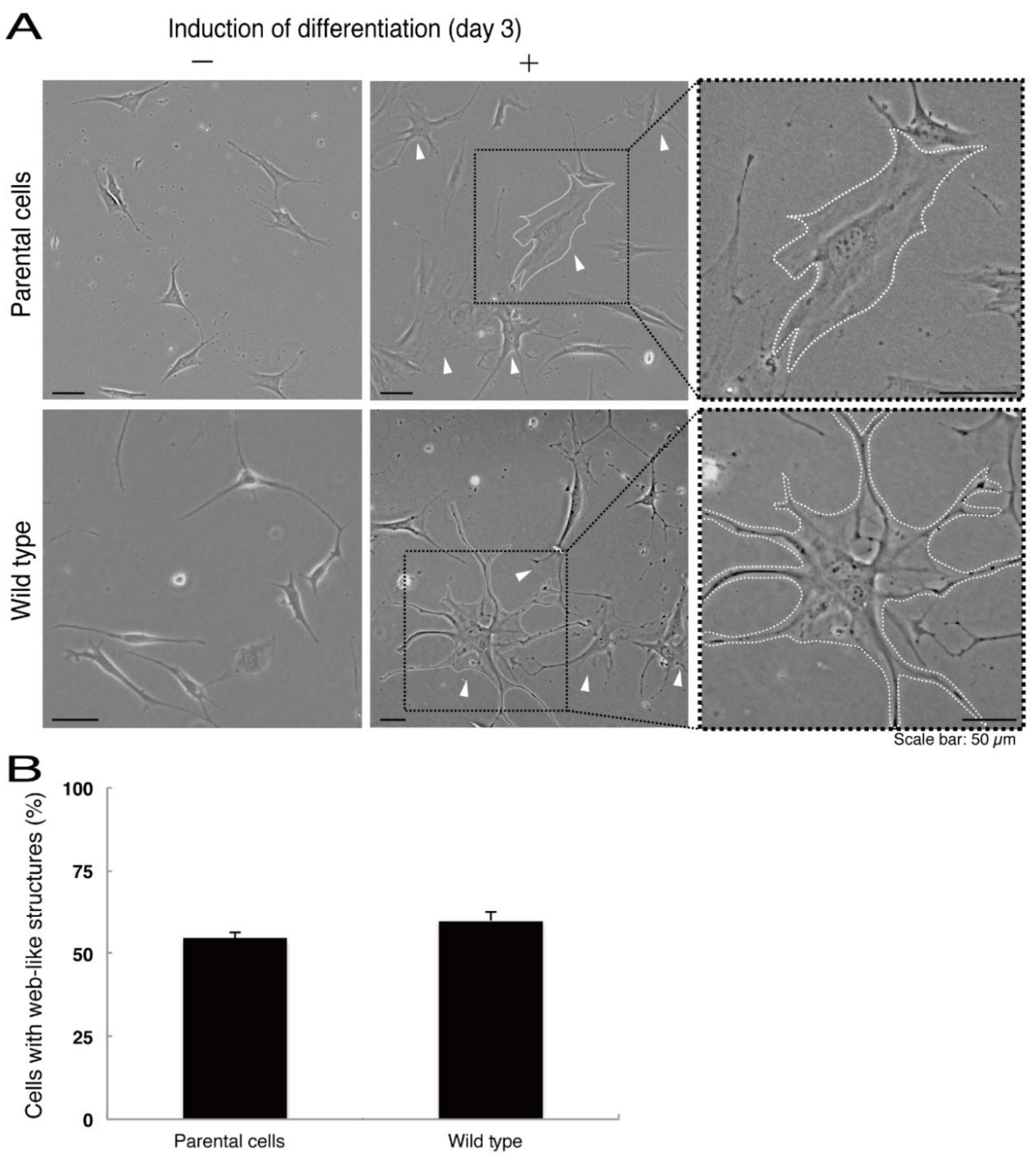 Medicines 08 00009 g007