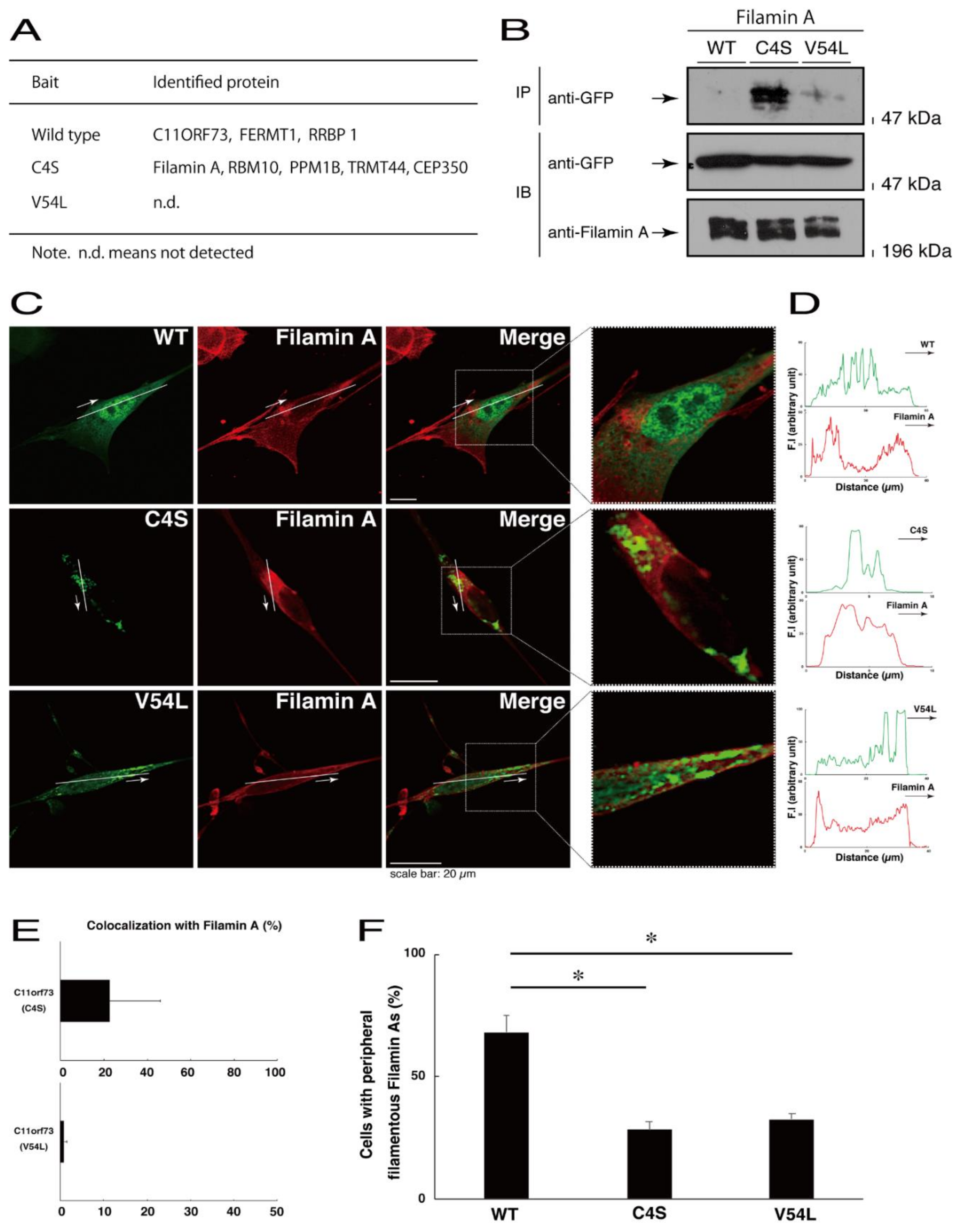 Medicines 08 00009 g008