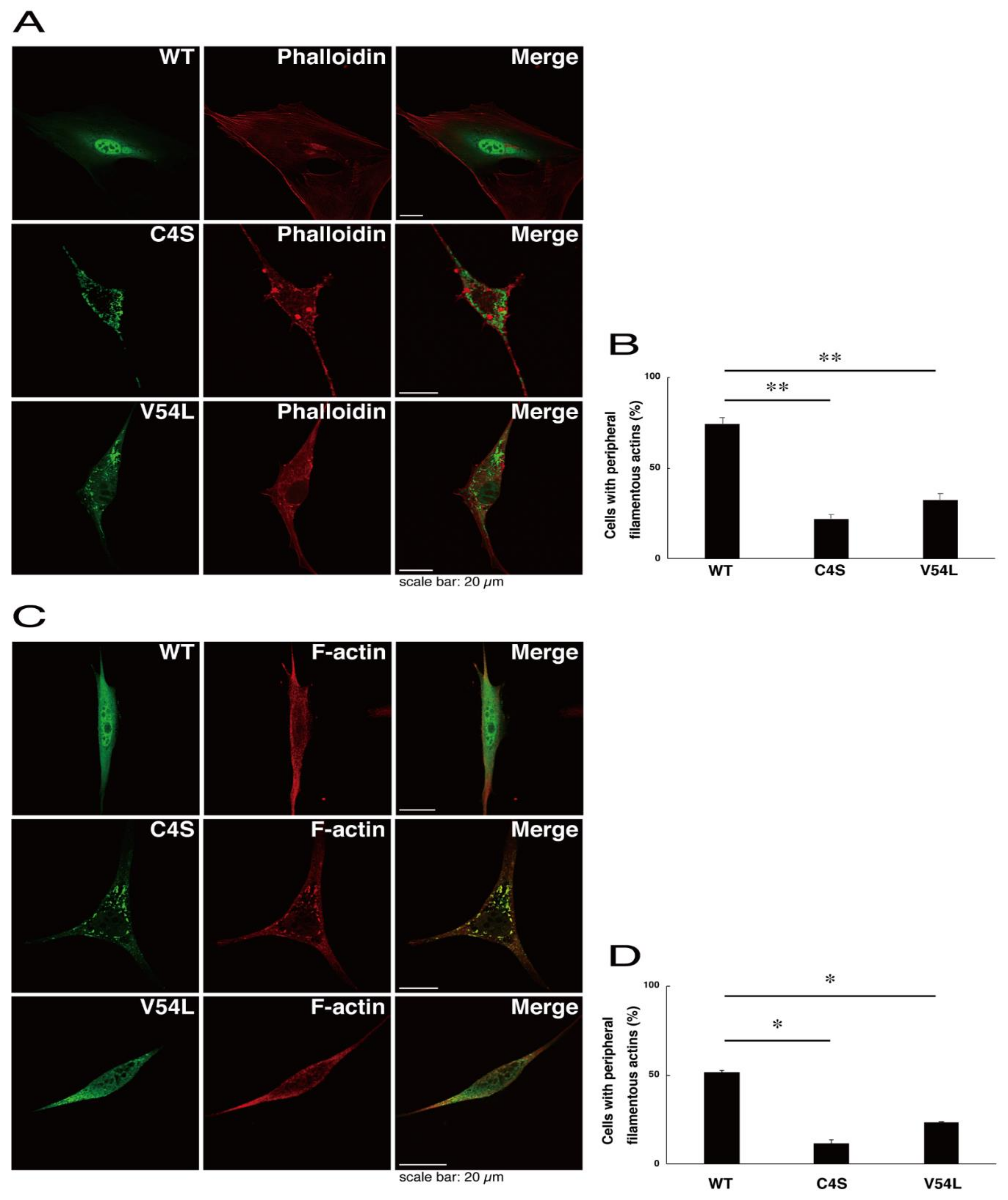 Medicines 08 00009 g009