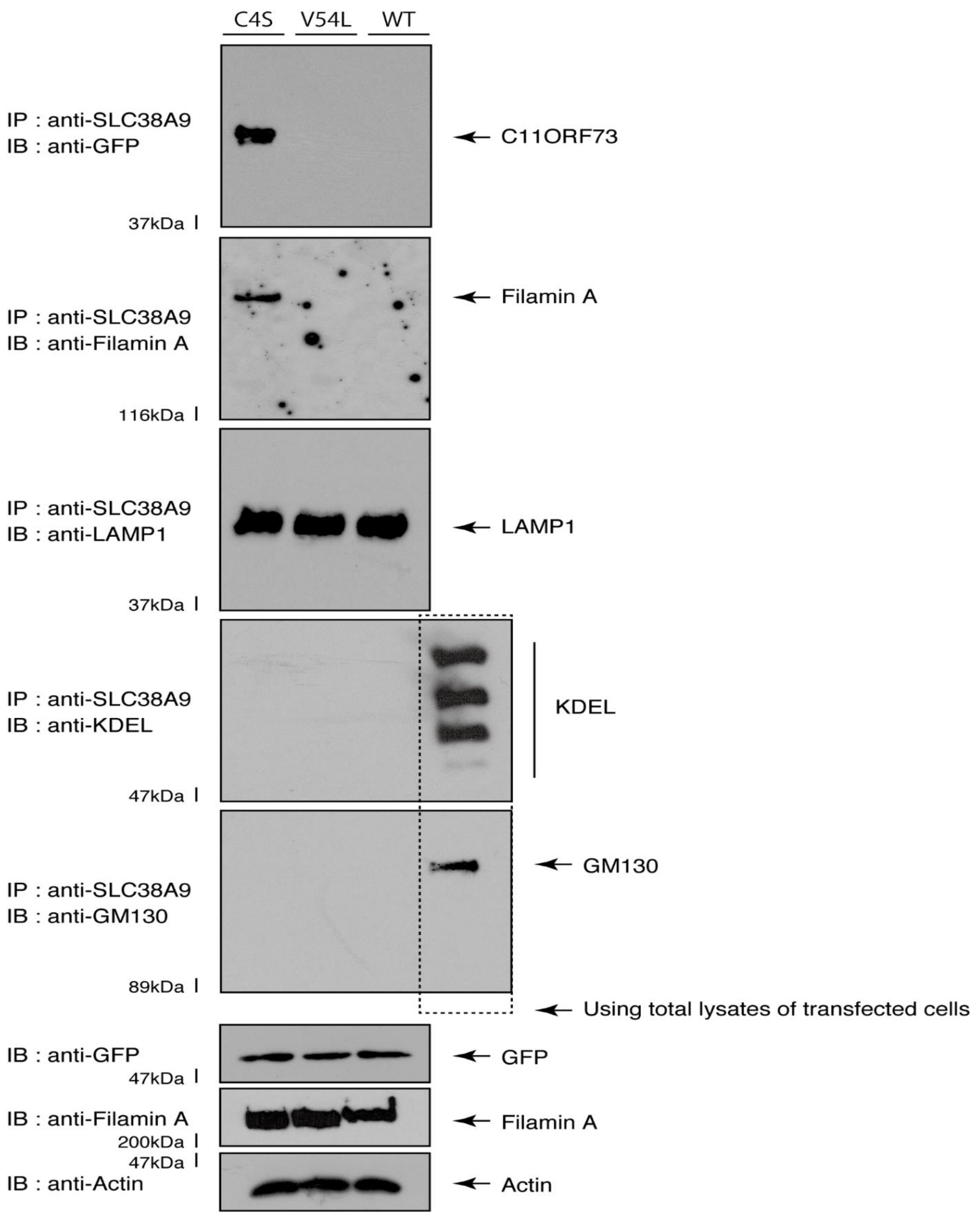 Medicines 08 00009 g010