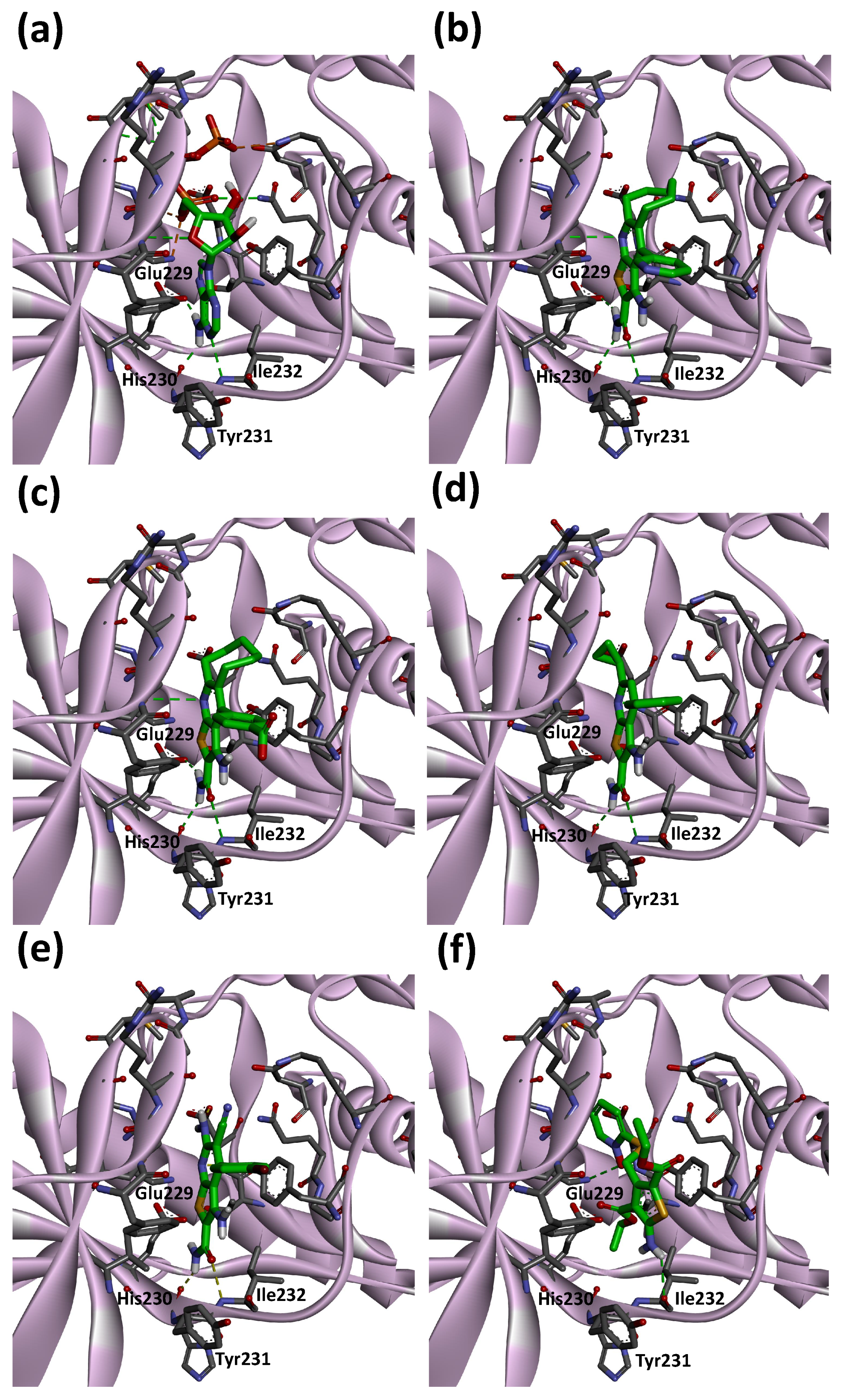 Medicines 08 00023 g006