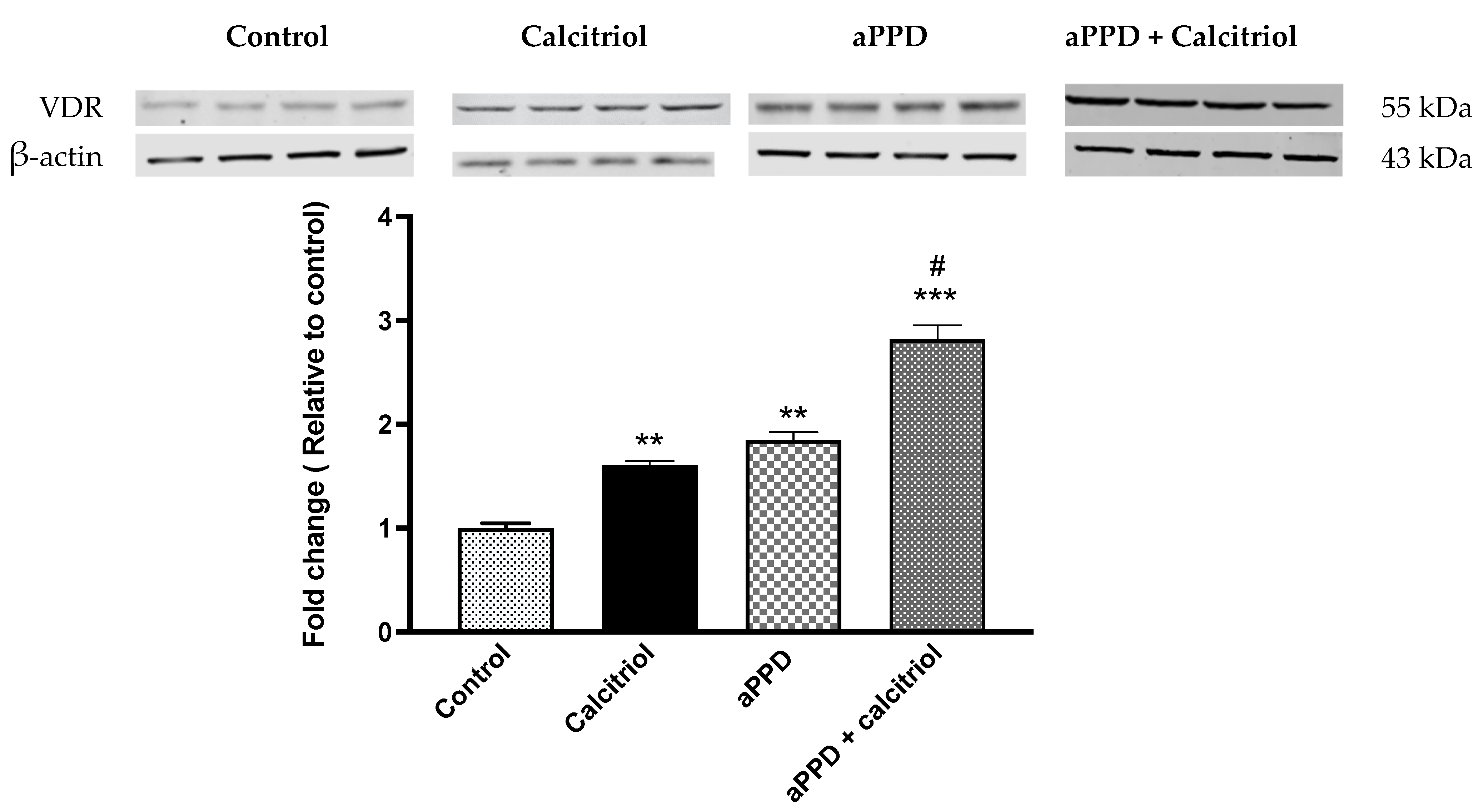 Medicines 08 00028 g003
