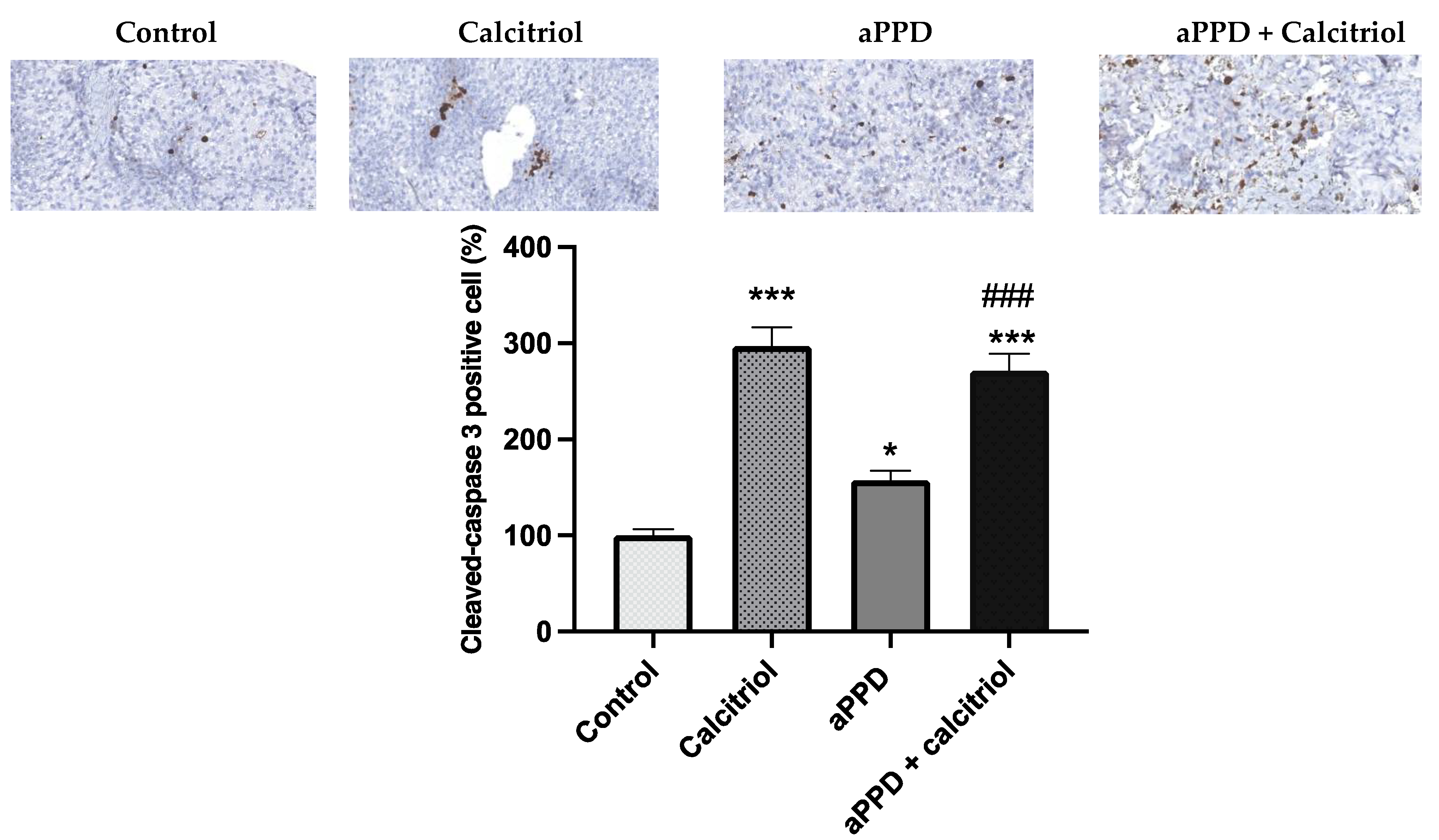 Medicines 08 00028 g006