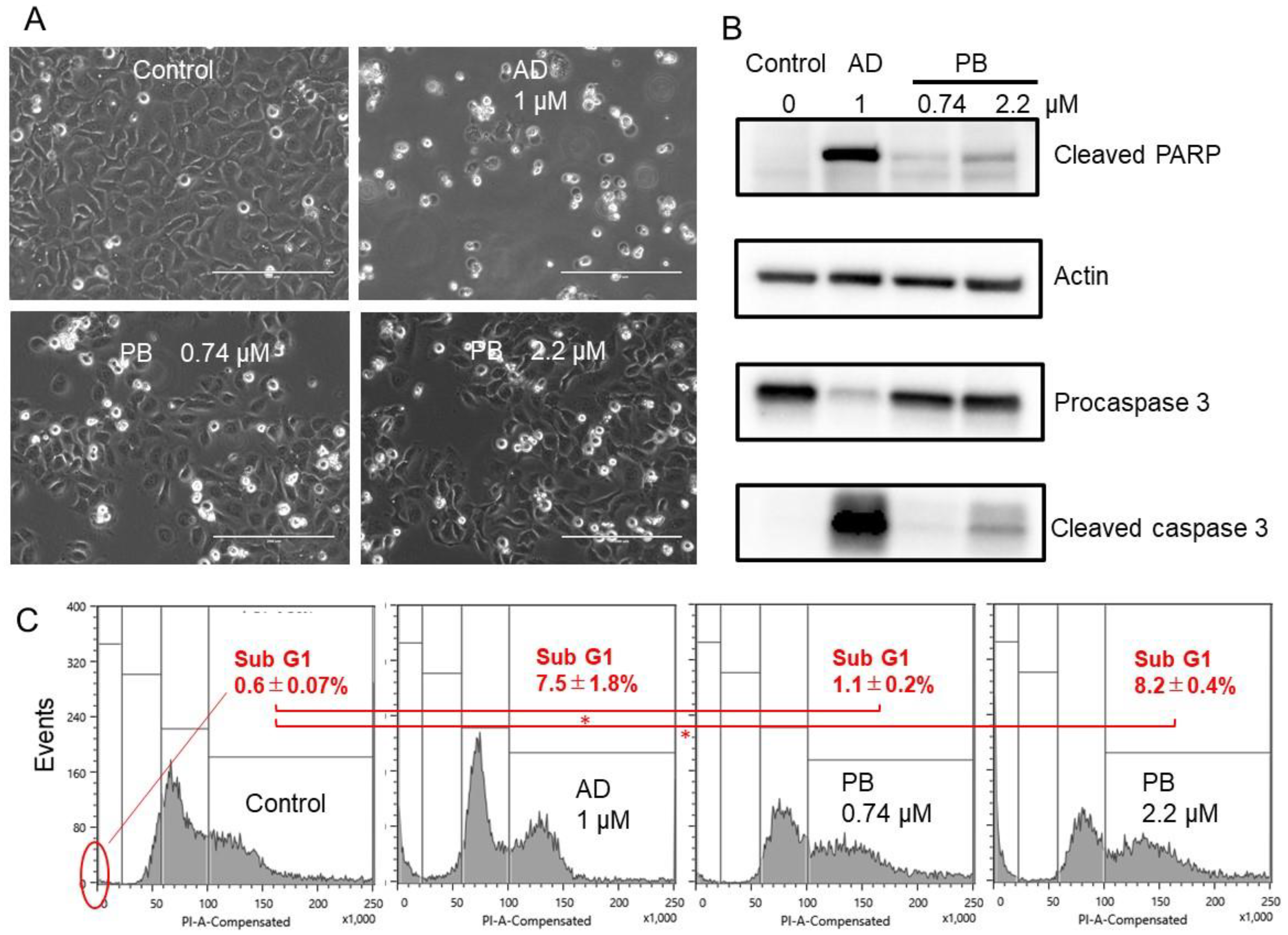 Medicines 08 00033 g003