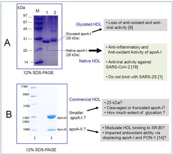 Medicines 08 00038 g001 550