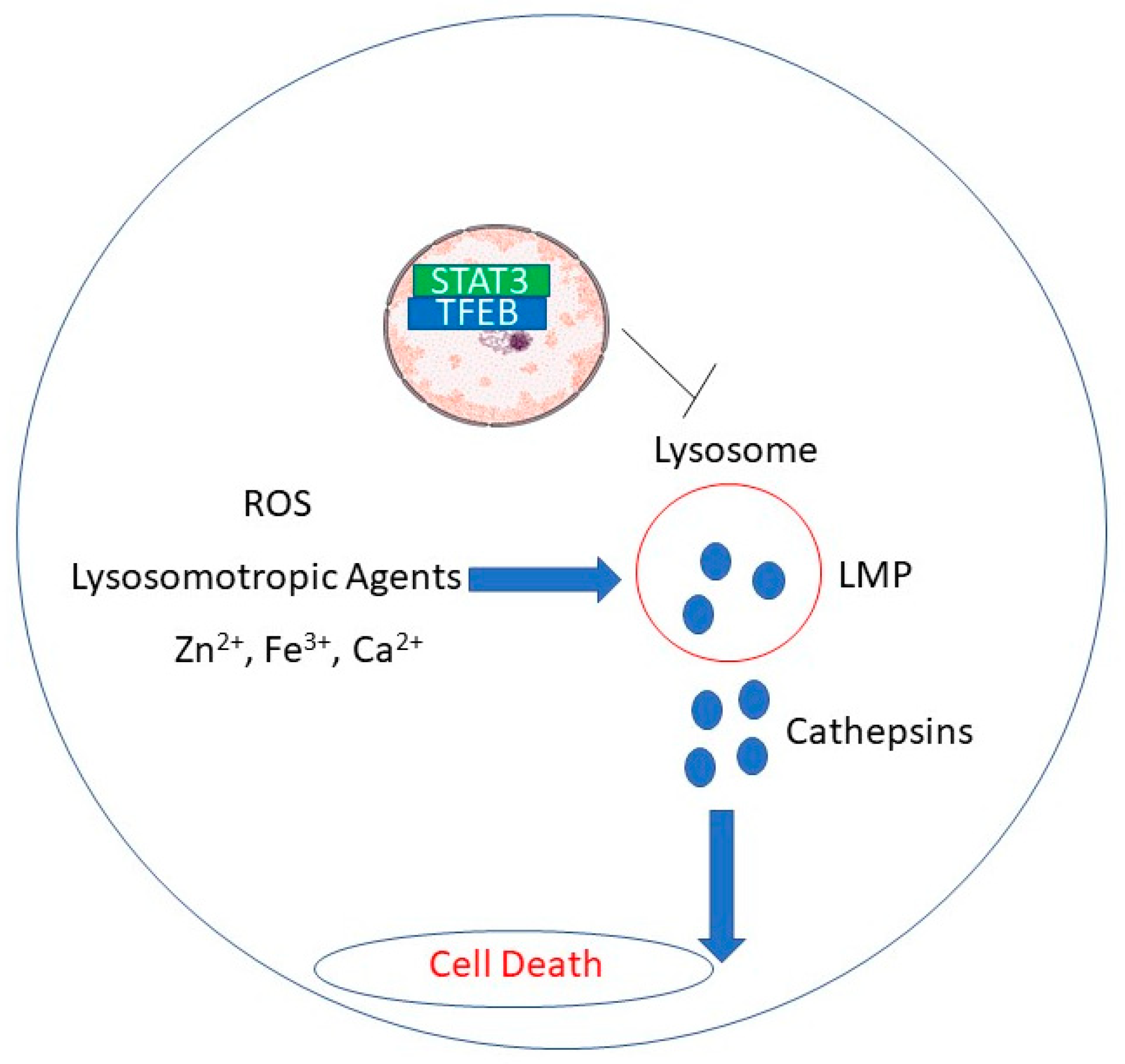 Medicines 08 00069 g001