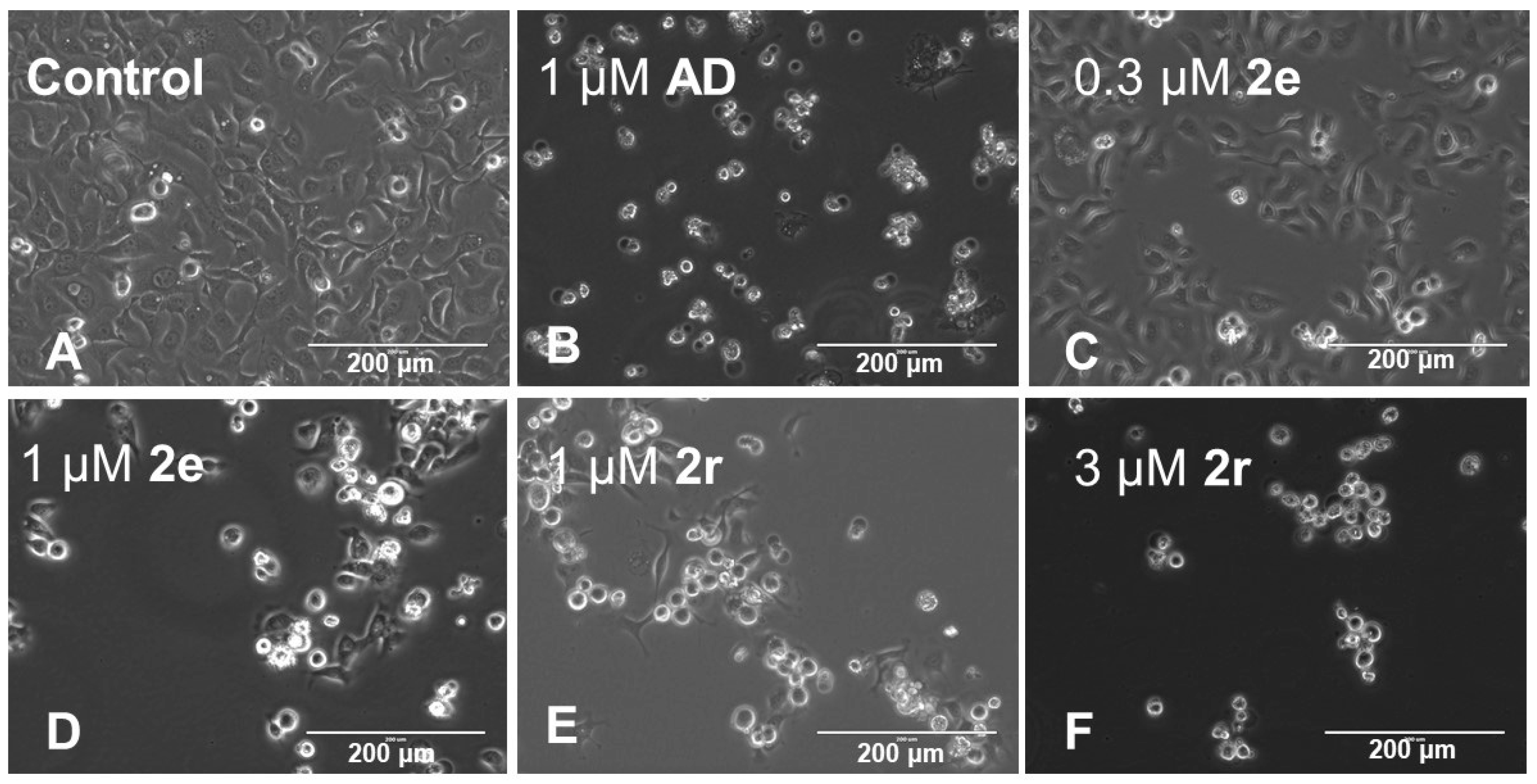 Medicines 08 00078 g004