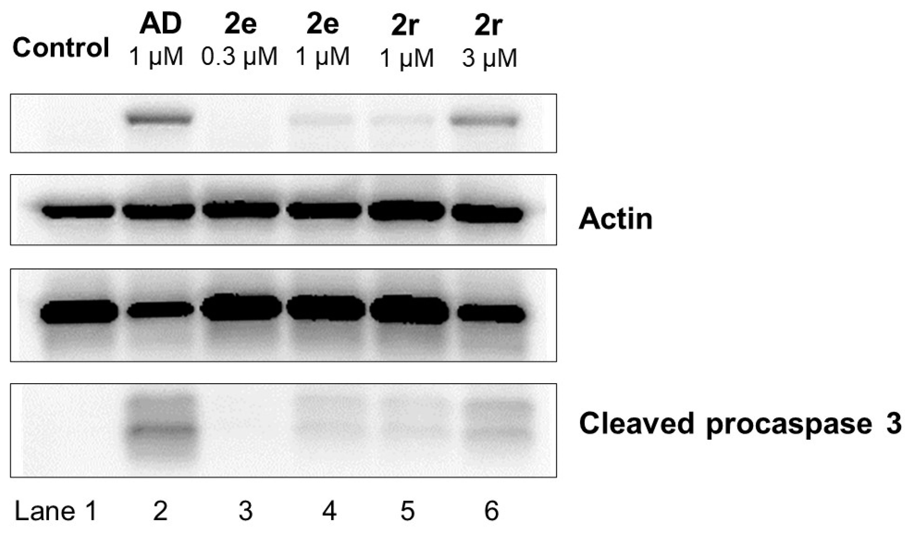 Medicines 08 00078 g005
