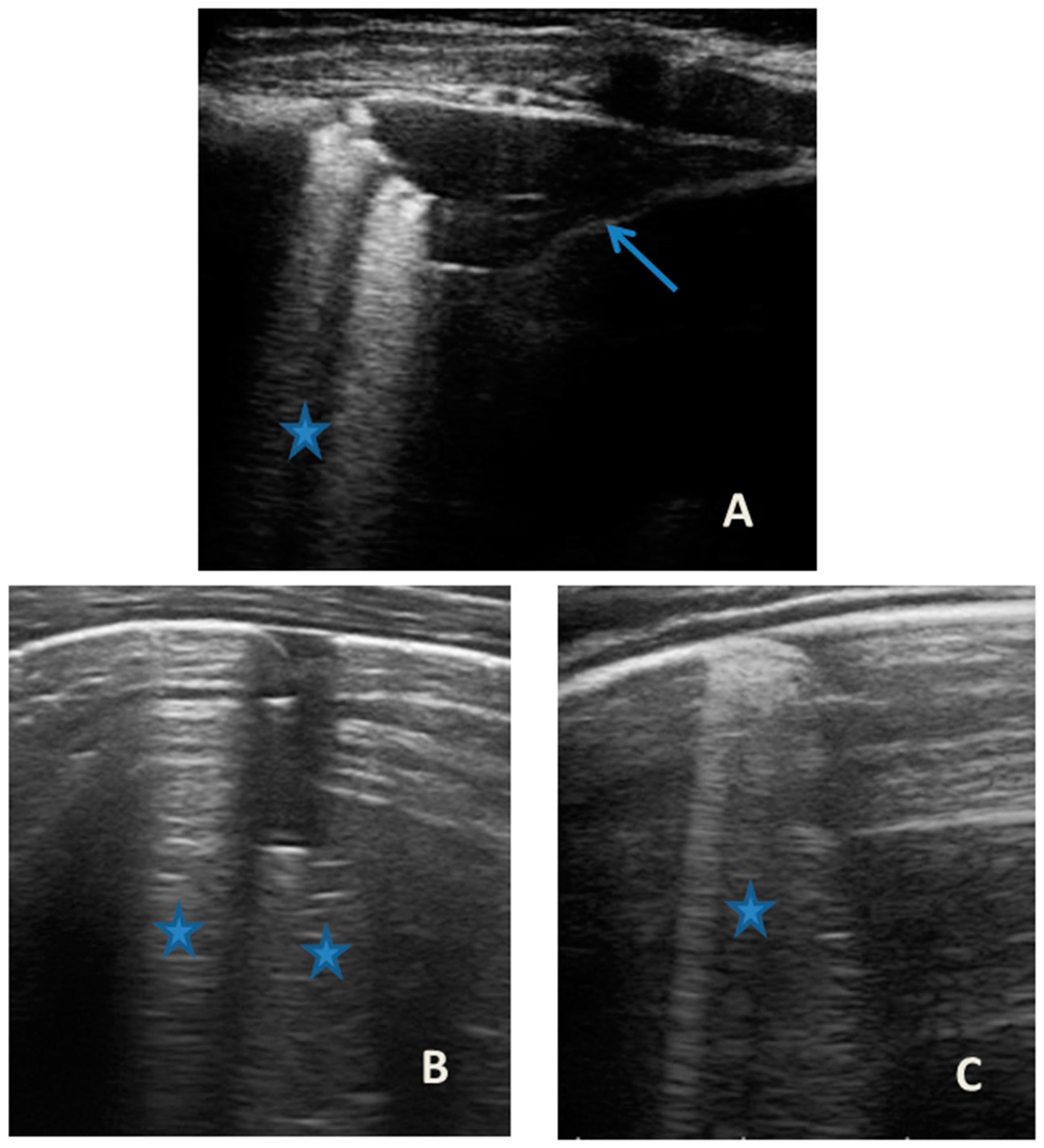 Medicines 09 00011 g005 Medicines 09 00011 g005