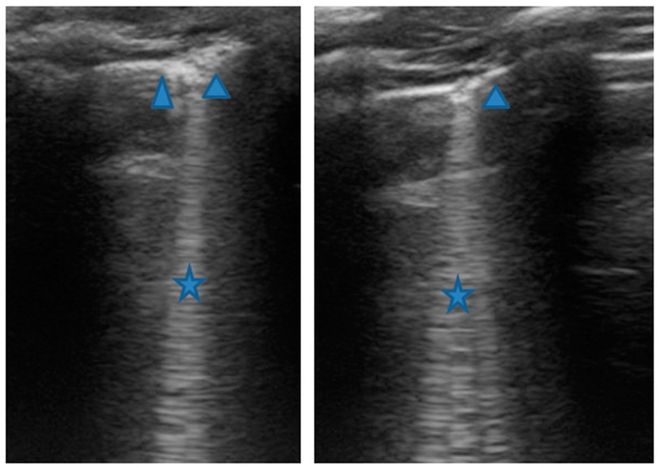 Medicines 09 00011 g006 Medicines 09 00011 g006