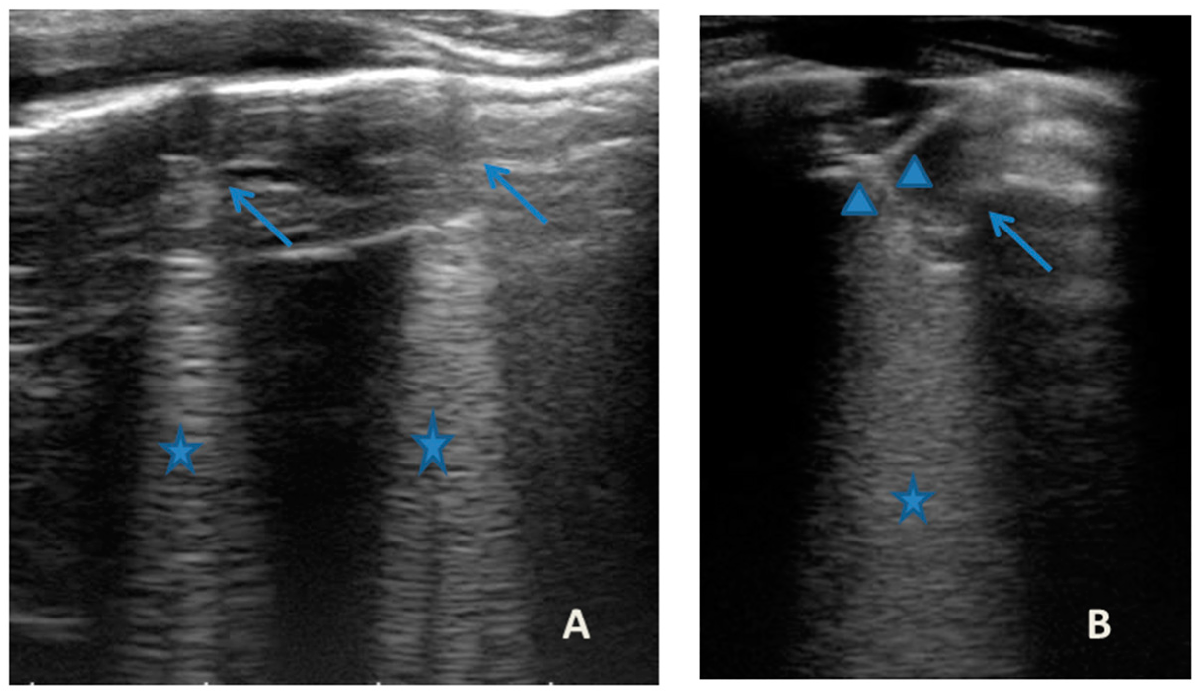 Medicines 09 00011 g007 Medicines 09 00011 g007