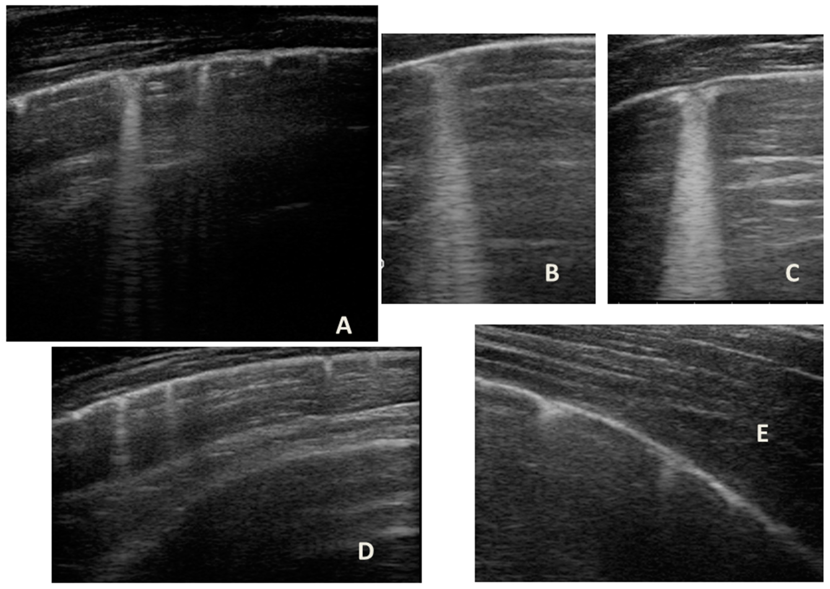 Medicines 09 00011 g009 Medicines 09 00011 g009