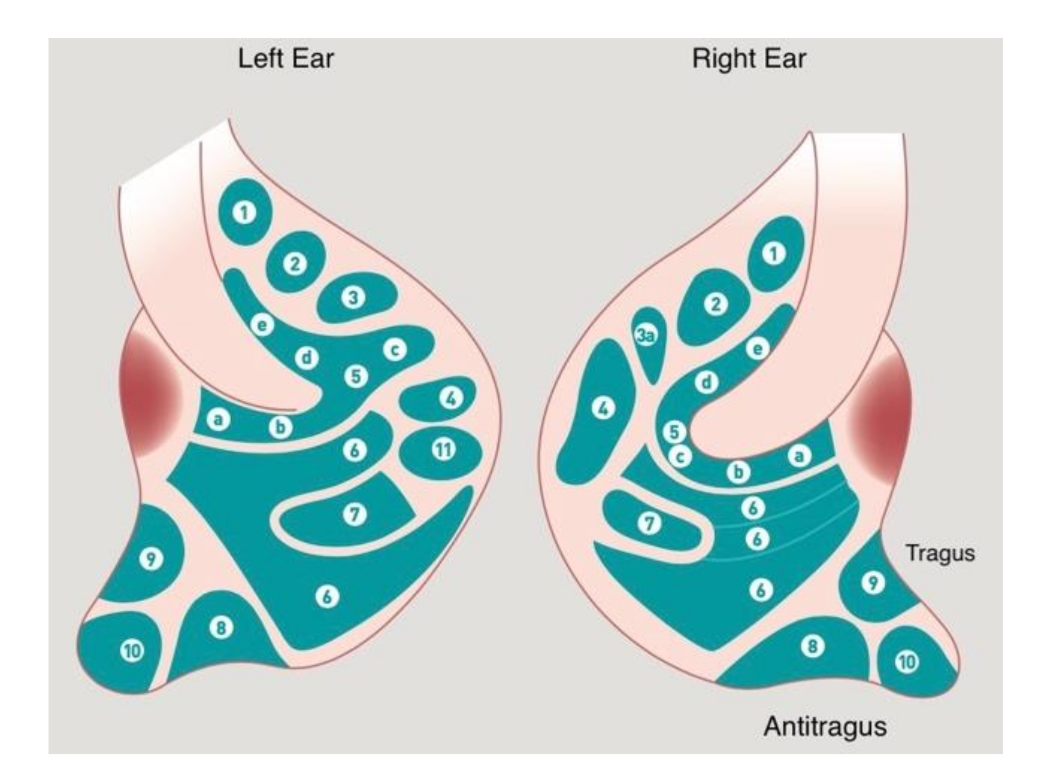 Medicines 09 00013 g002