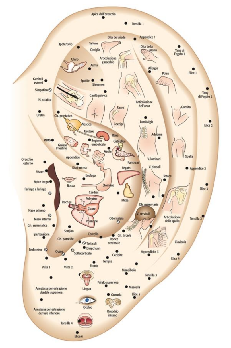 Medicines 09 00013 g003