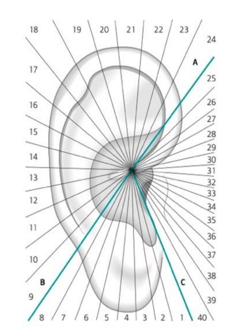 Medicines 09 00013 g005