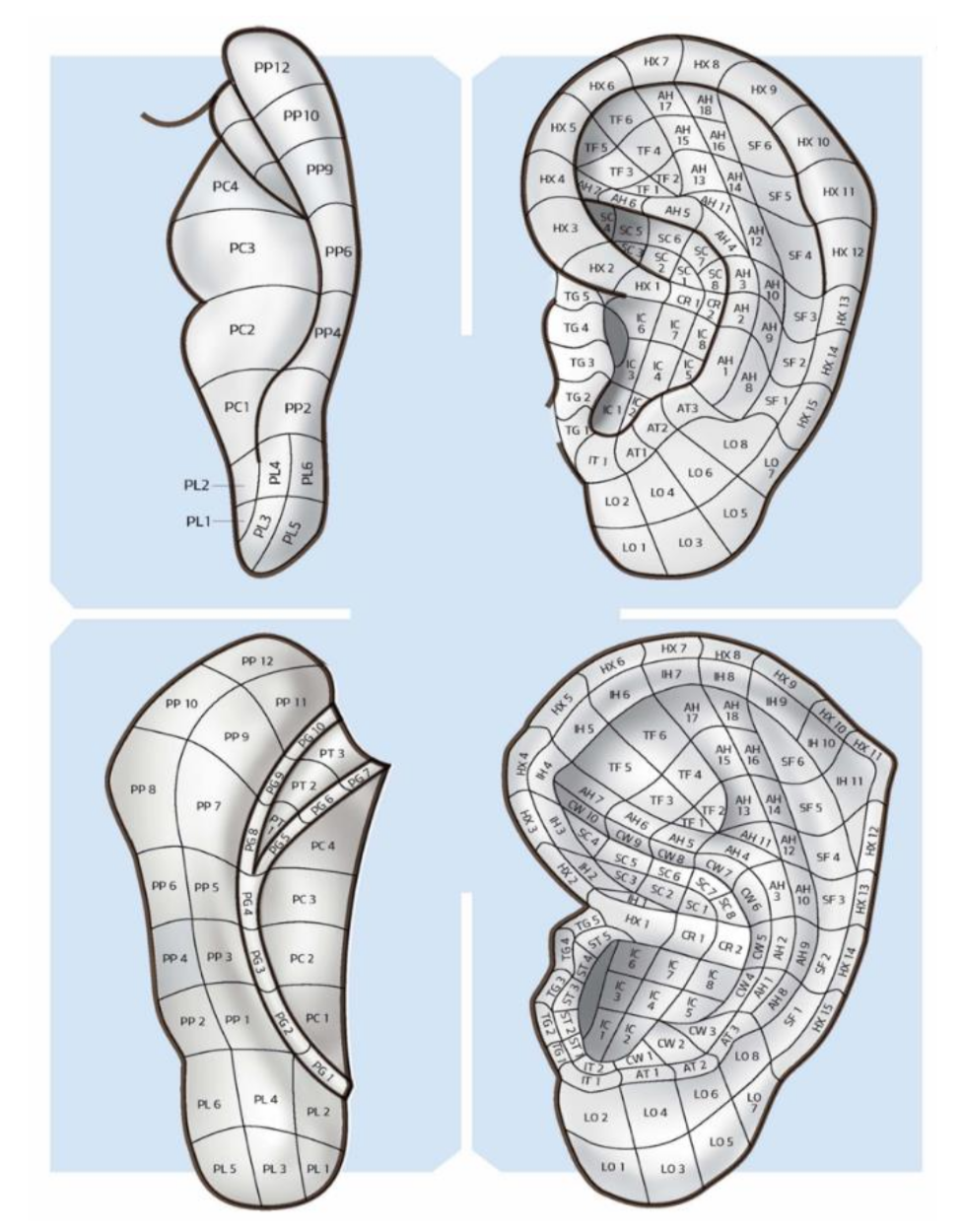 Medicines 09 00013 g008