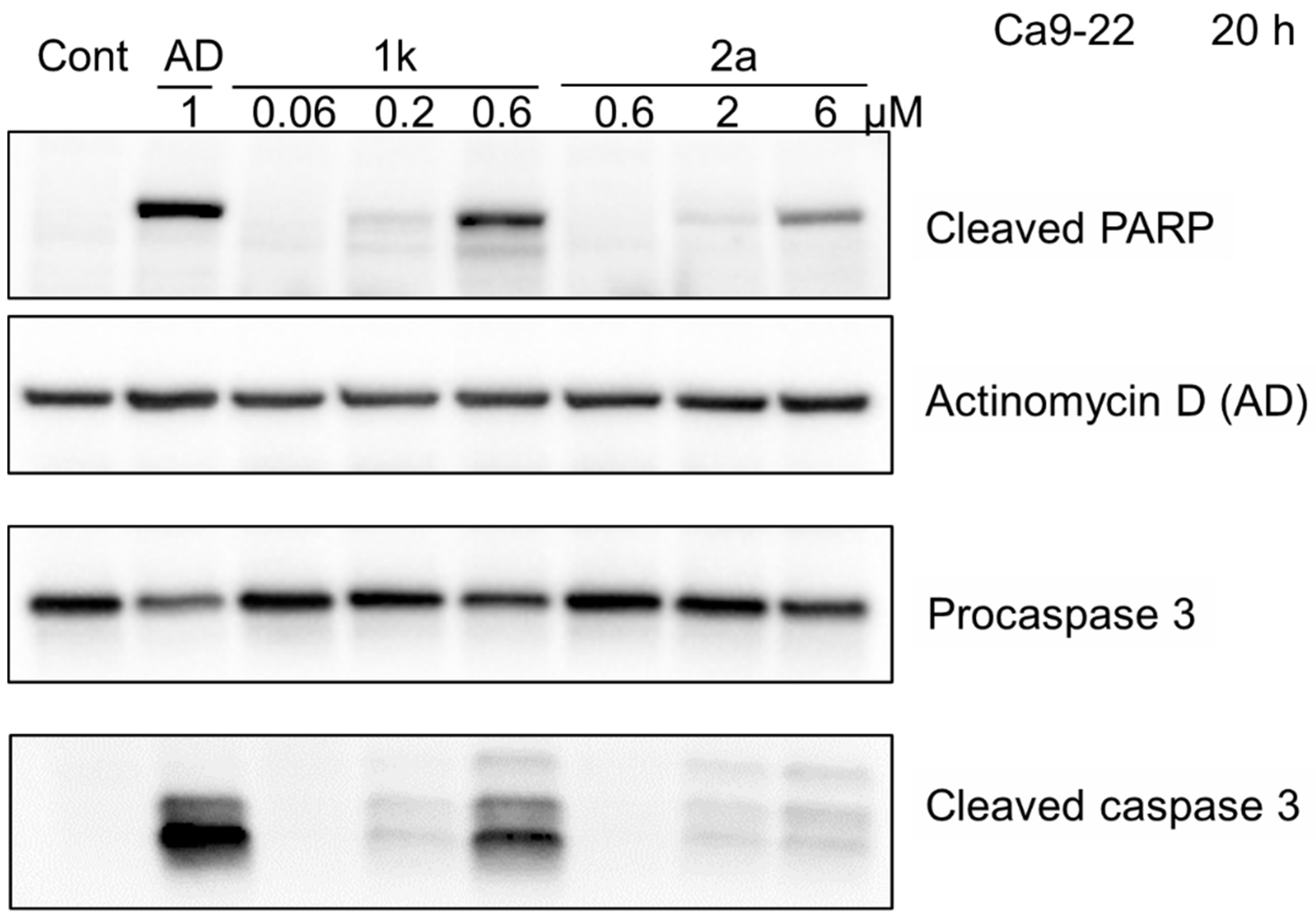 Medicines 09 00035 g005