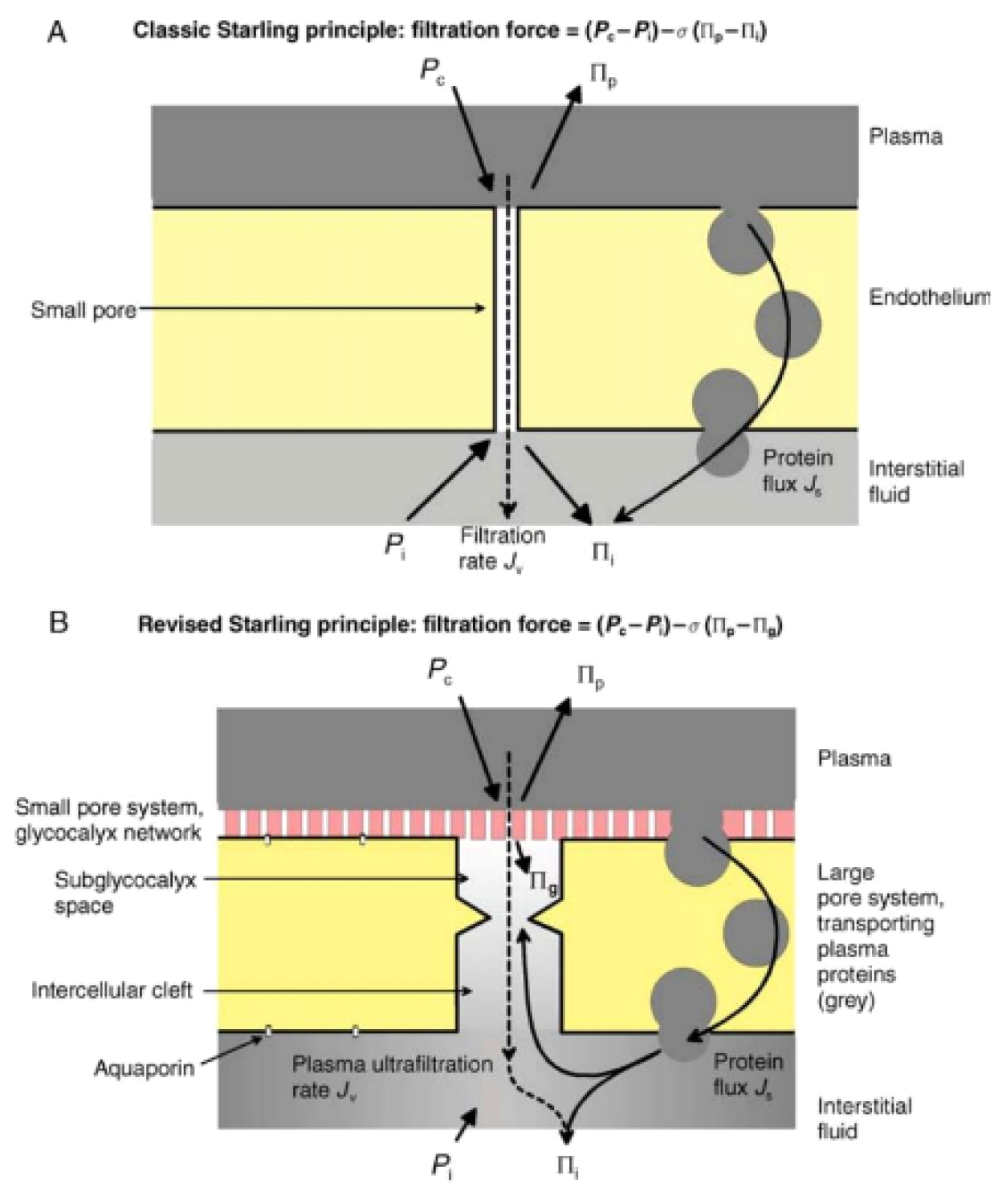 Medicines 09 00041 g001