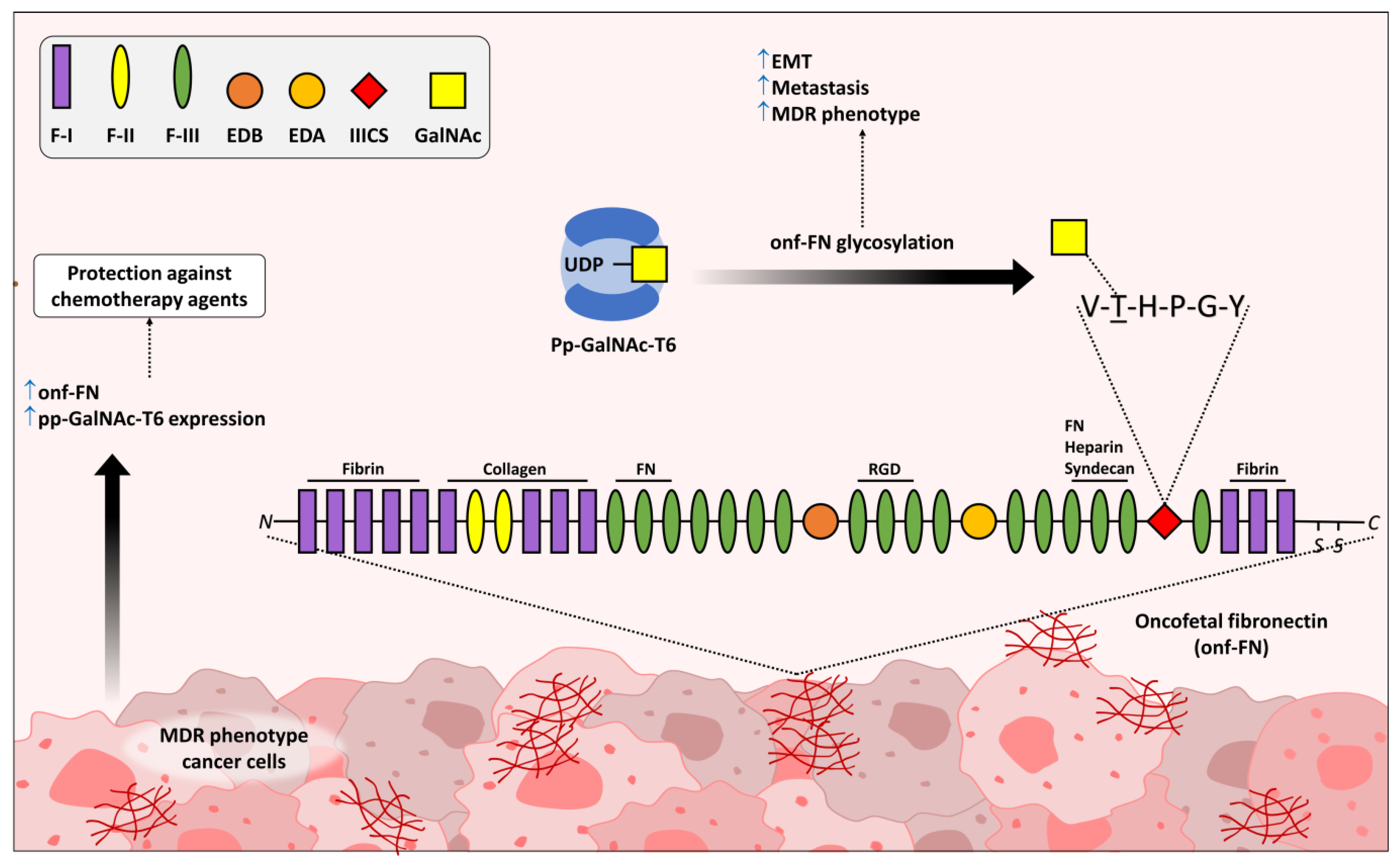 Medicines 10 00036 g002