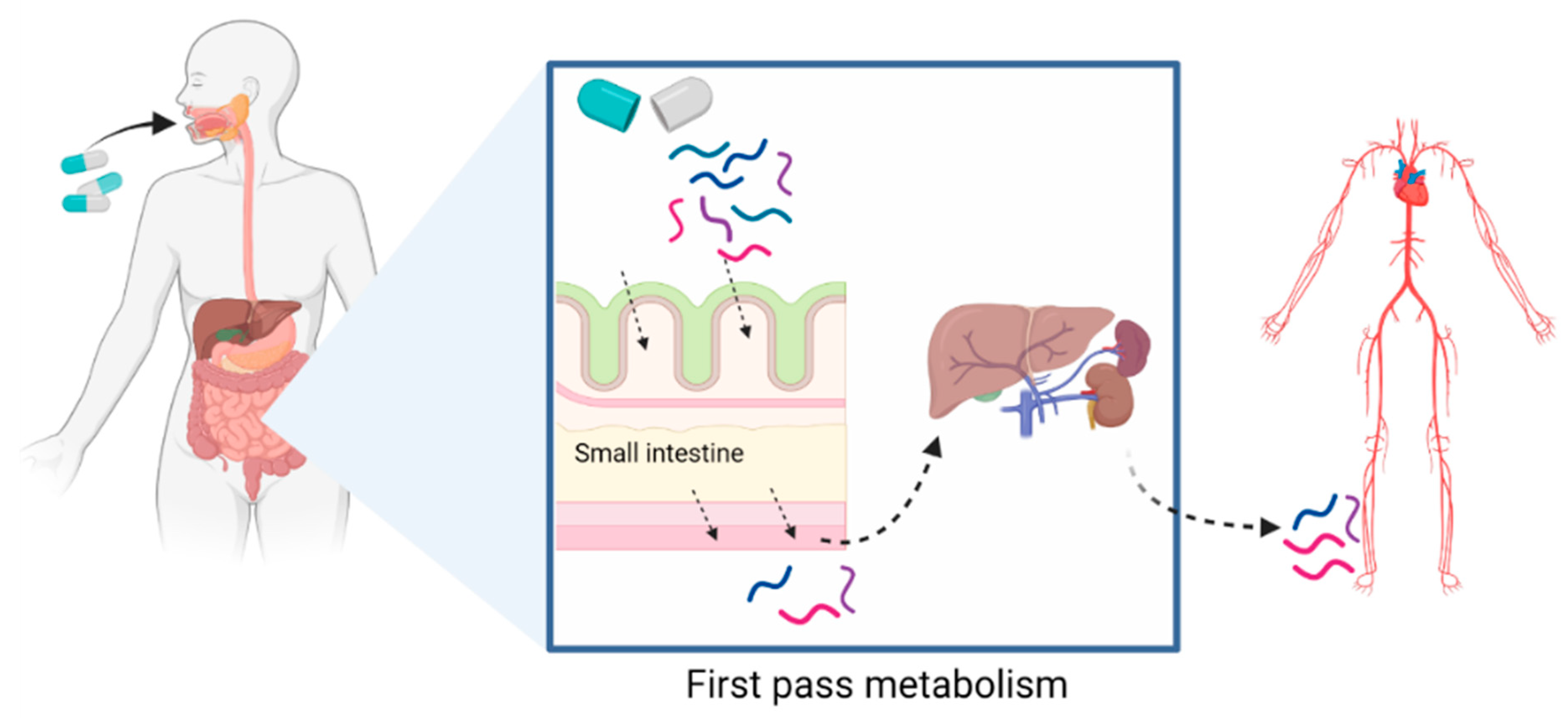 Medicines 10 00050 g003