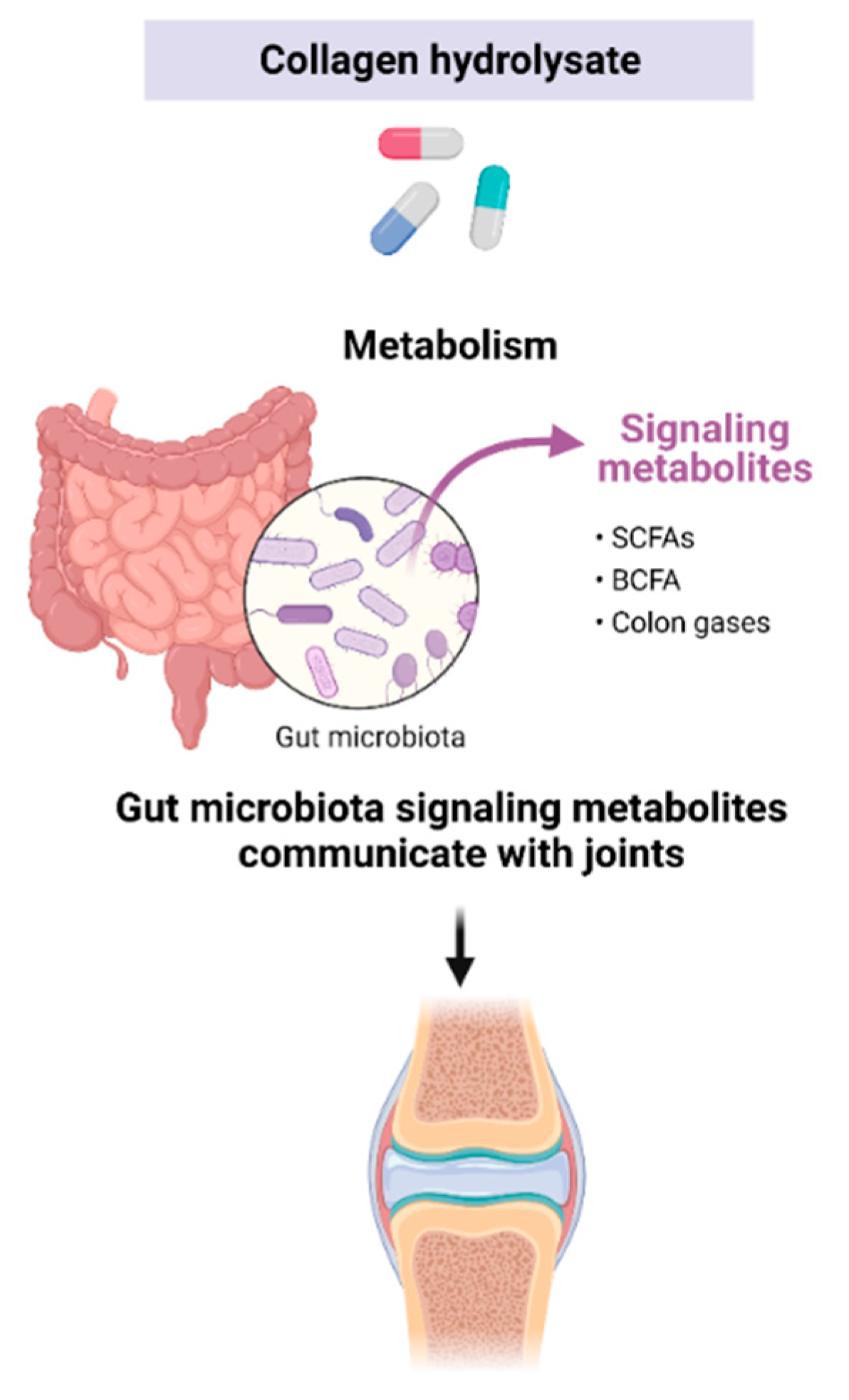 Medicines 10 00050 g005