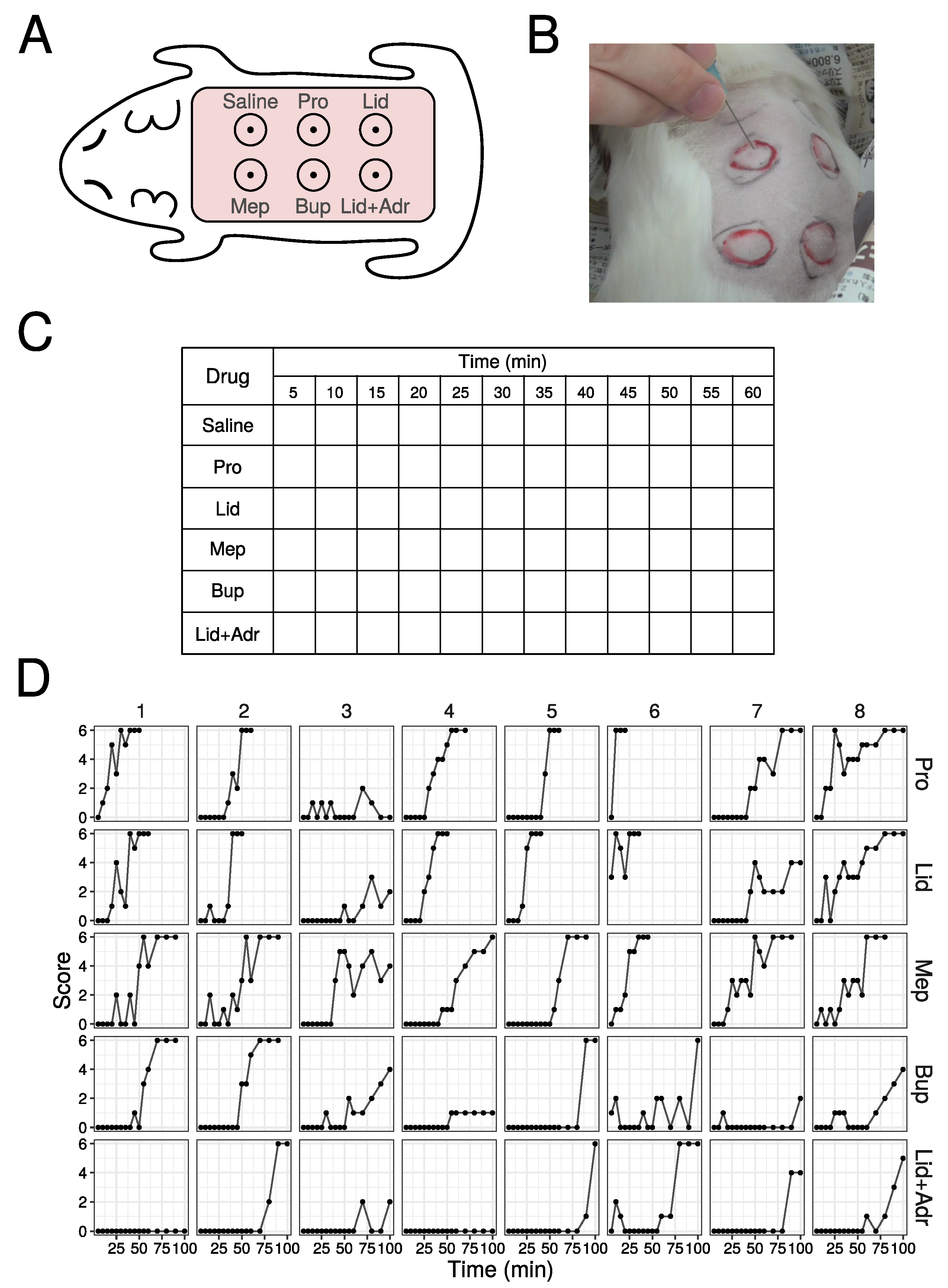 Medicines 10 00061 g001