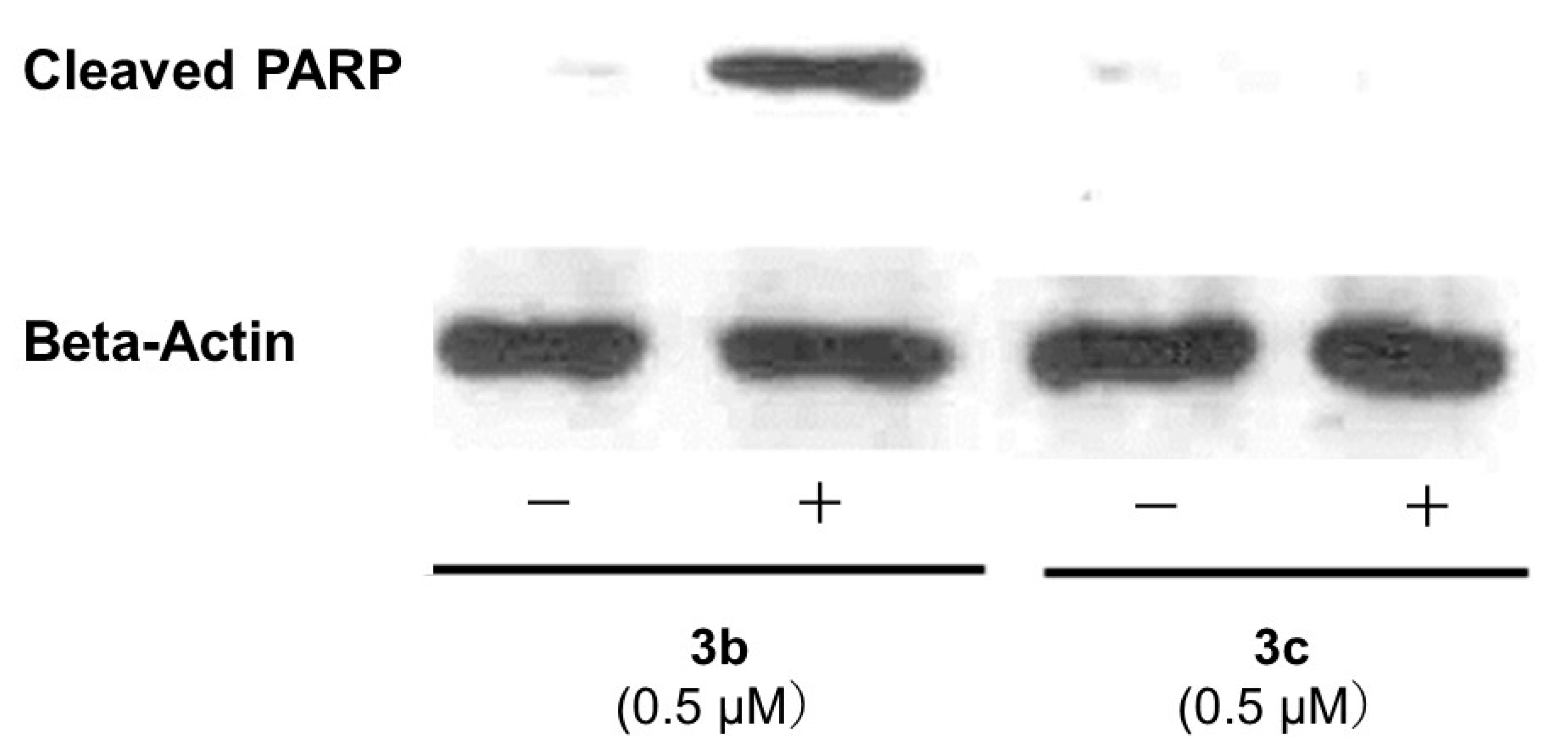 Medicines 11 00003 g003