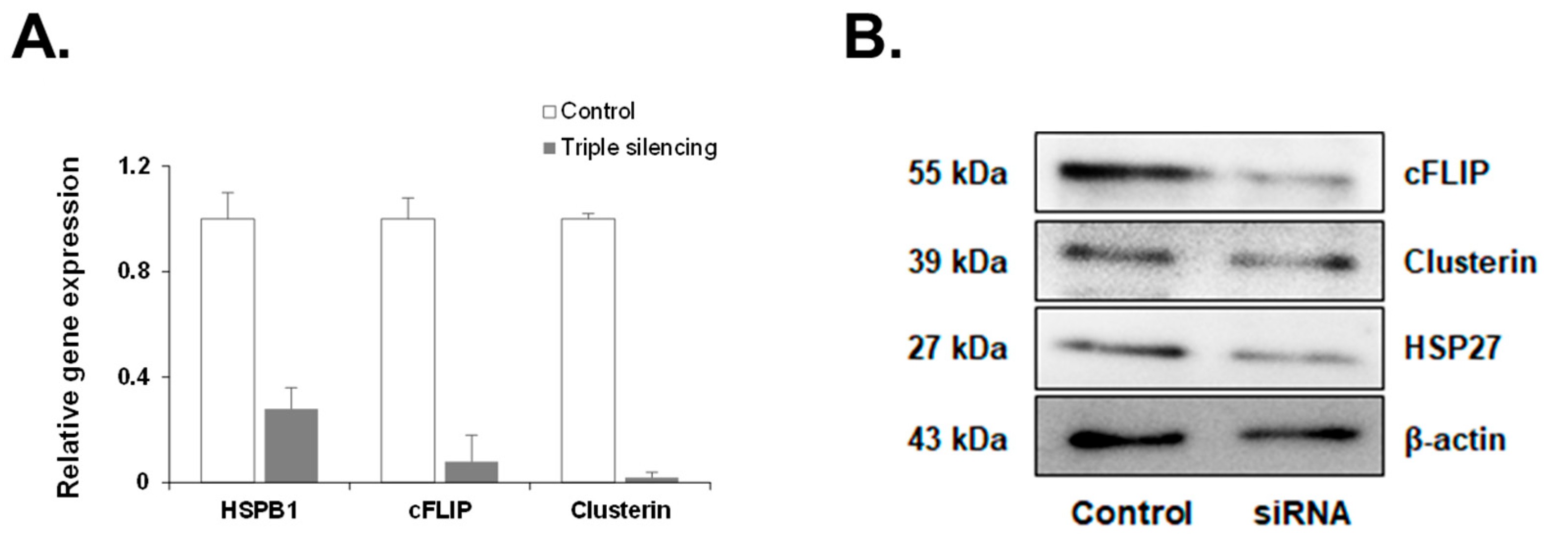 Medicines 11 00007 g003