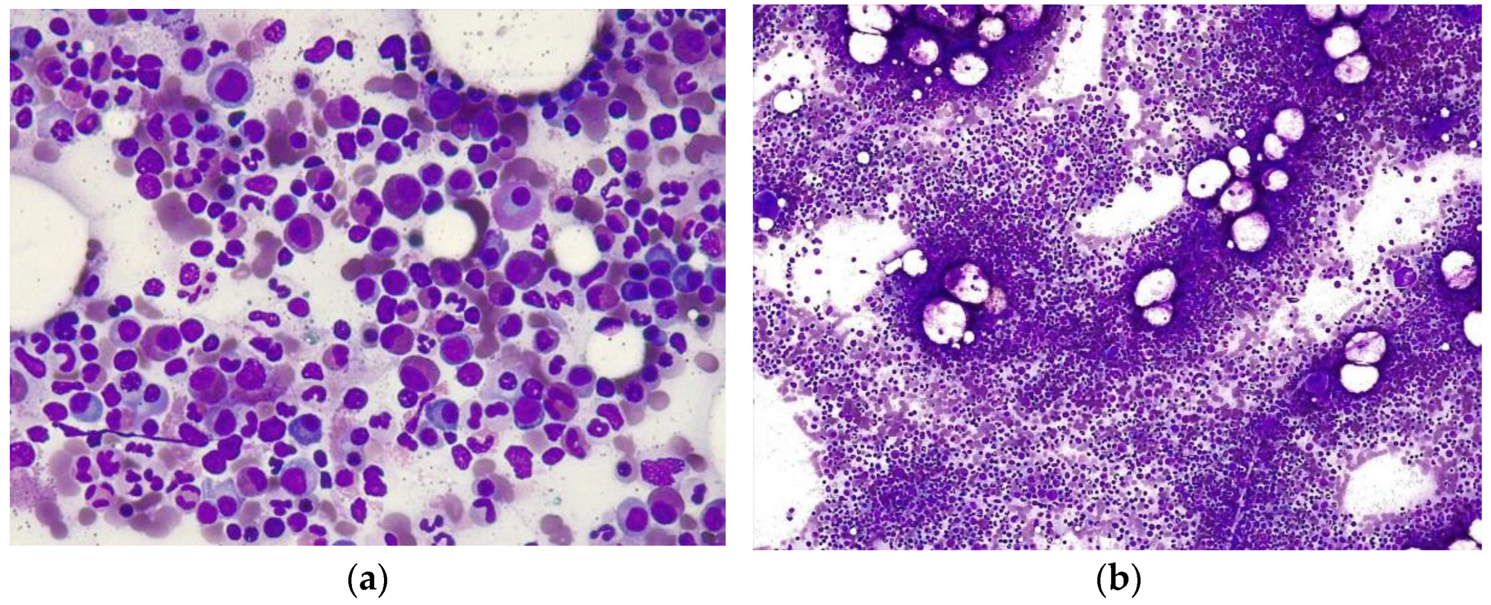 Medicines 11 00013 g001