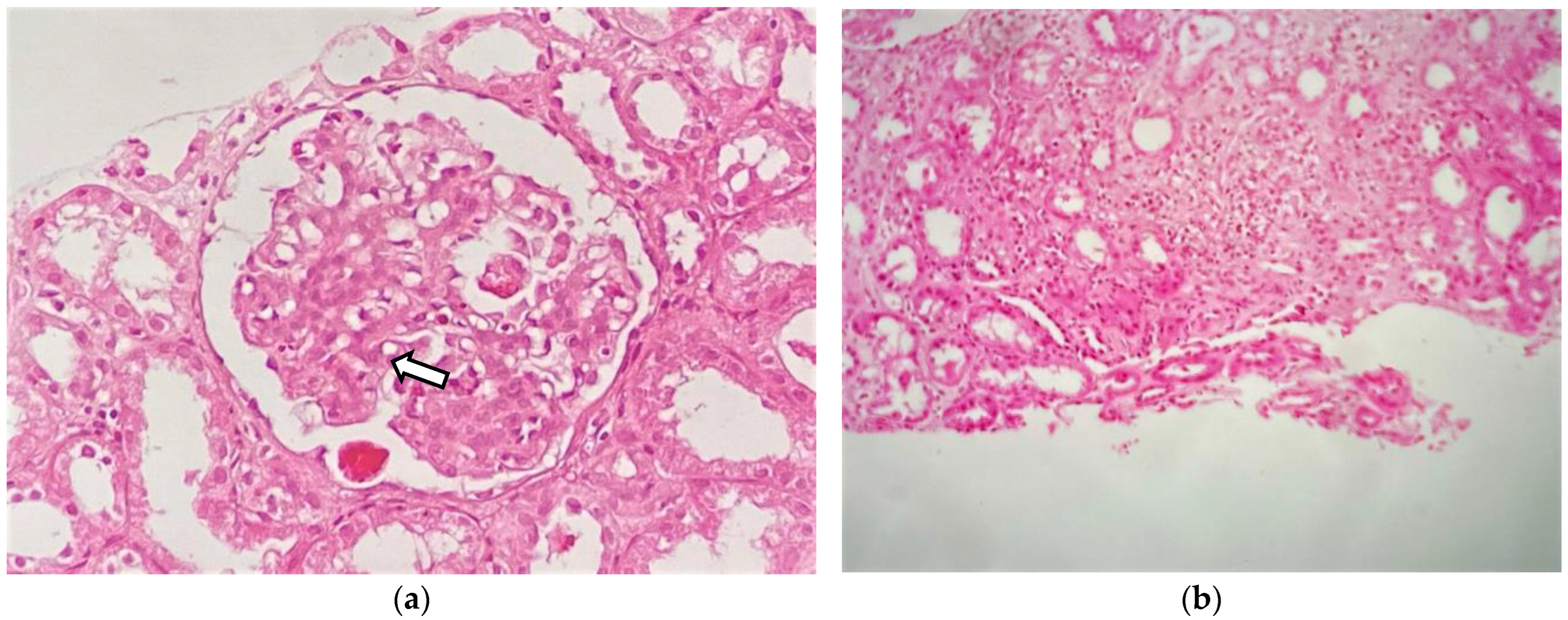 Medicines 11 00013 g002