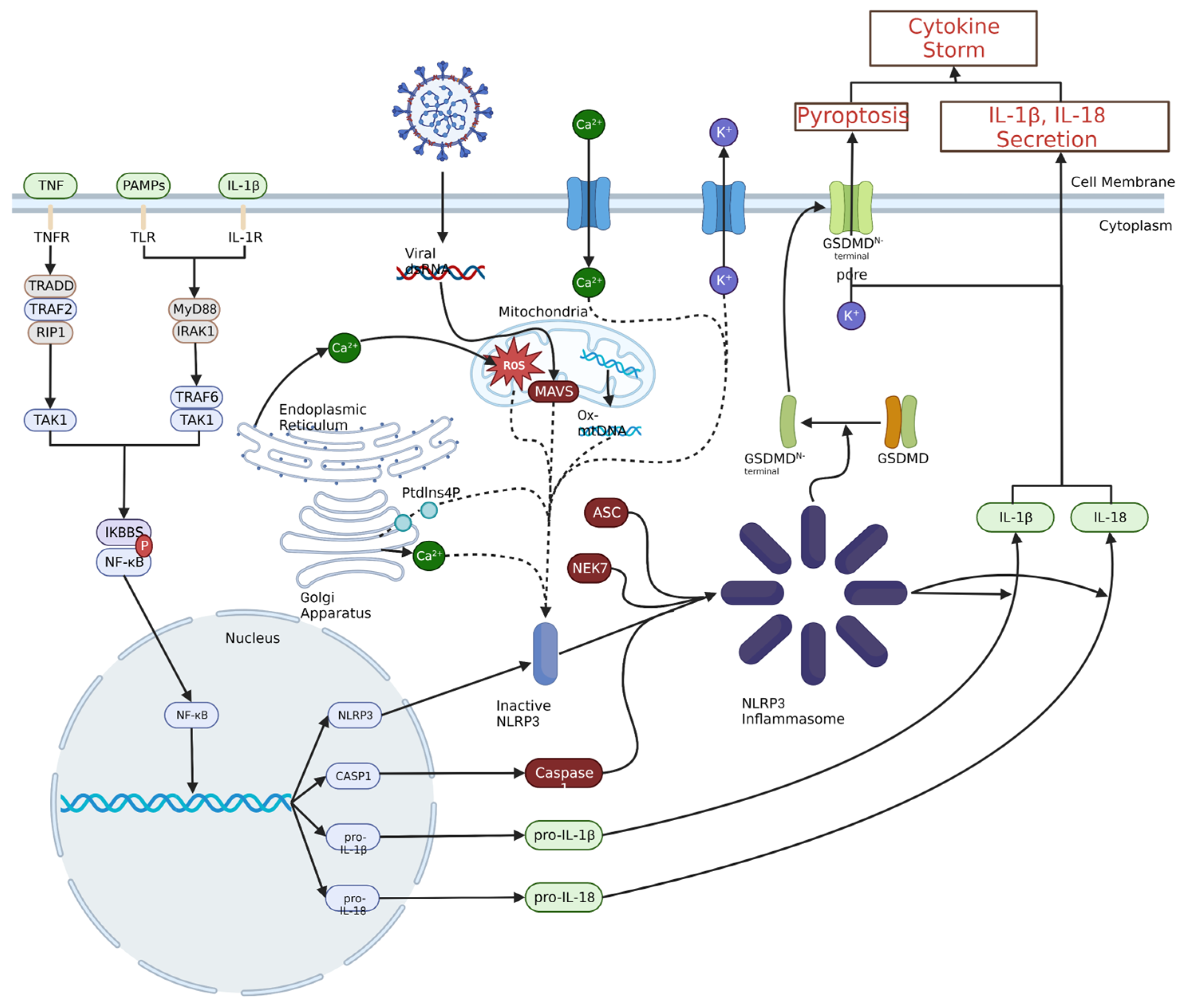 Medicines 11 00014 g003