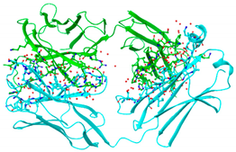 Medicines 11 00015 i011 Medicines 11 00015 i011