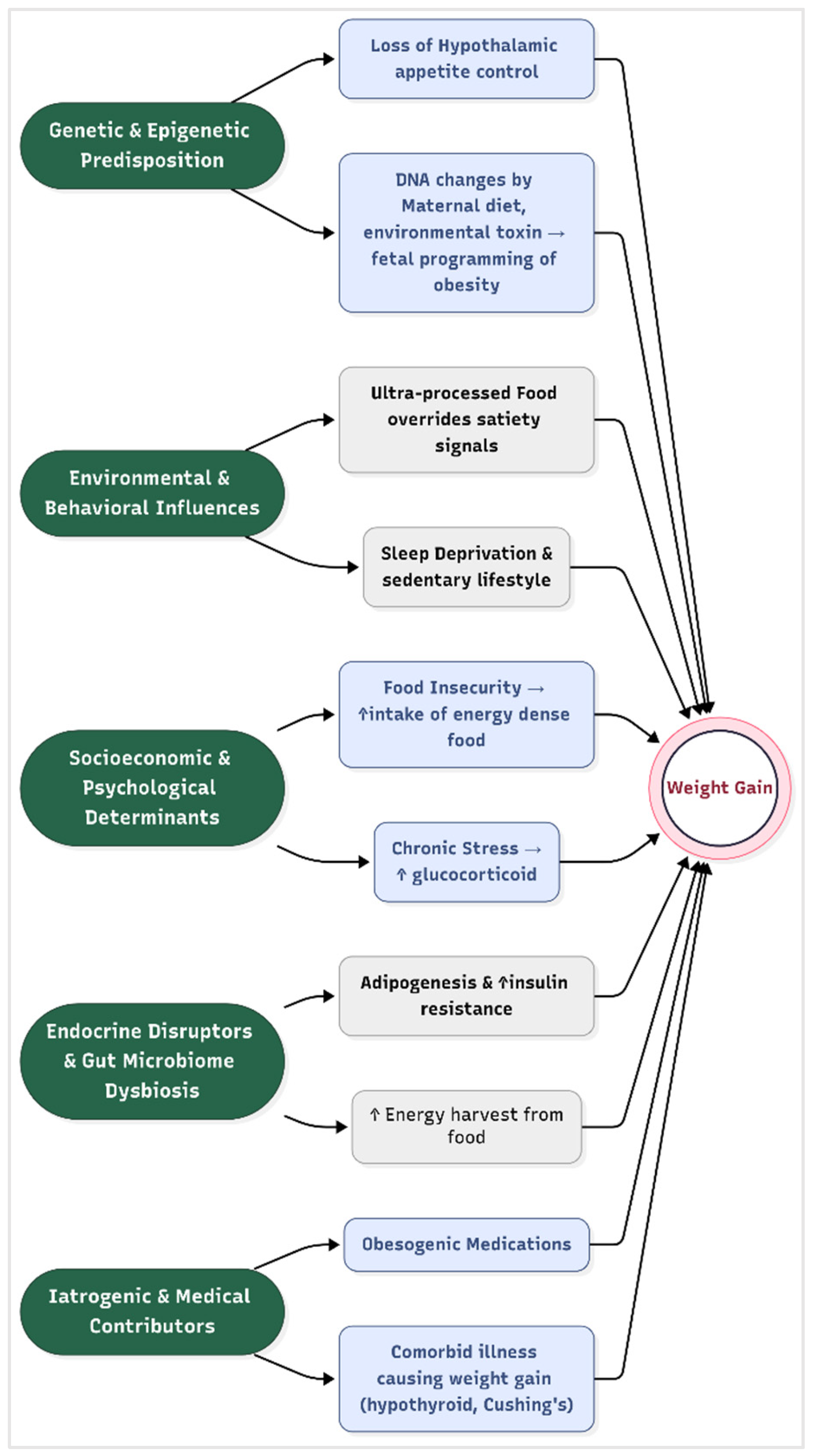 Medicines 12 00019 g001