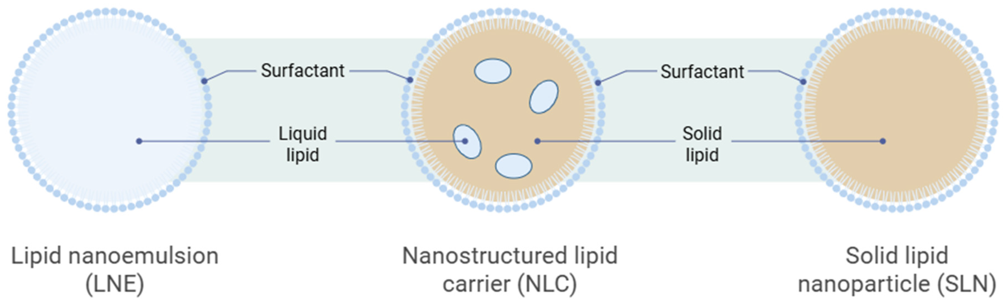 Medicines 13 00002 g002