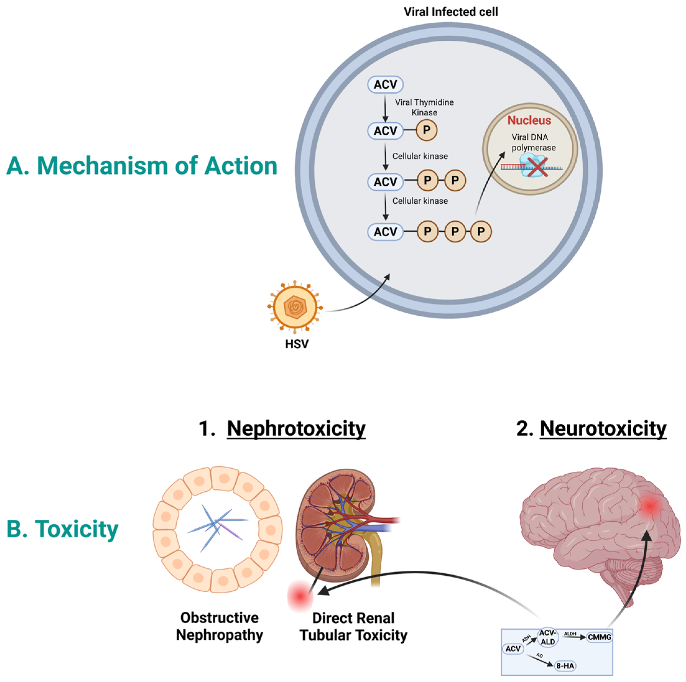 Medicines 13 00006 g001