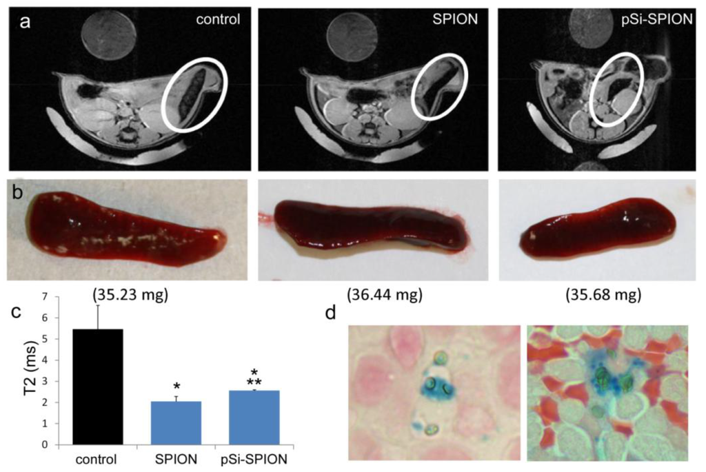 Medsci 02 00051 g005 1024