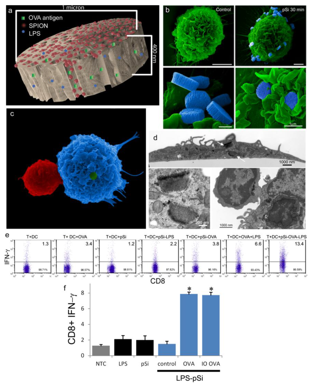 Medsci 02 00051 g006 1024