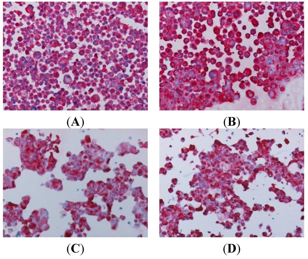 Medsci 02 00070 g002 1024