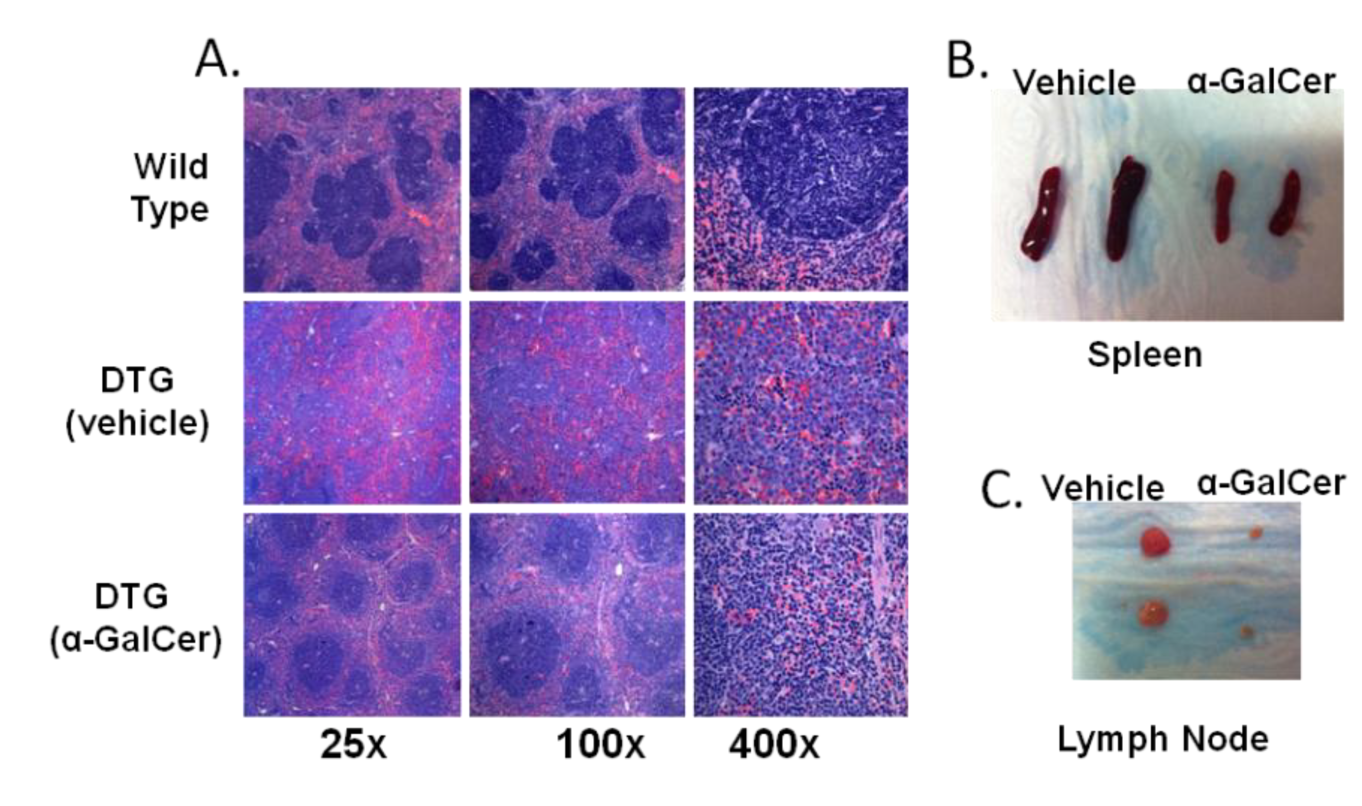 Medsci 02 00082 g004