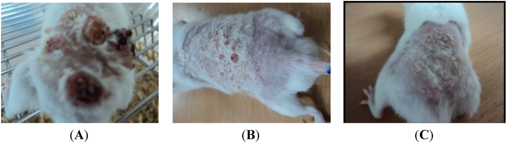 Medsci 02 00153 g001 1024