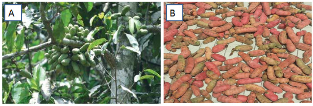 Medsci 03 00104 g001 1024