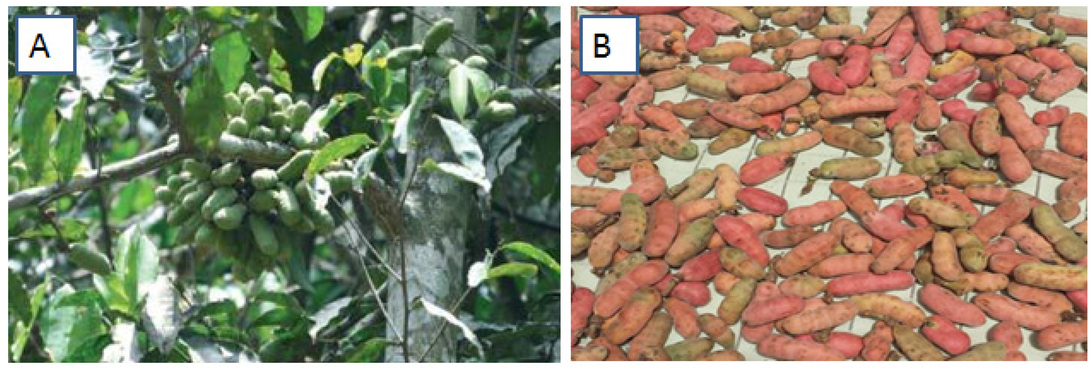 Medsci 03 00104 g001