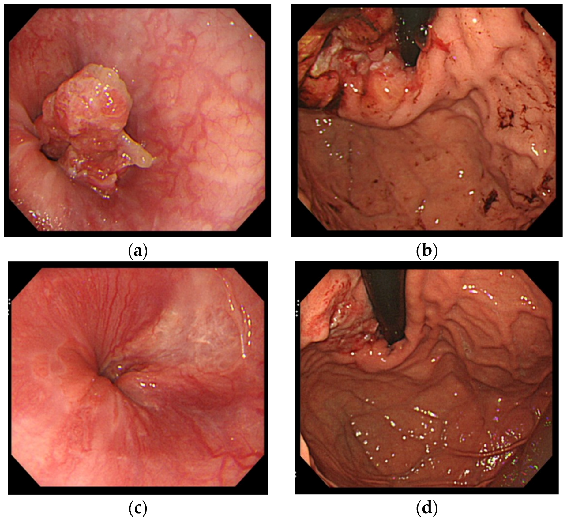 Medsci 04 00008 g002