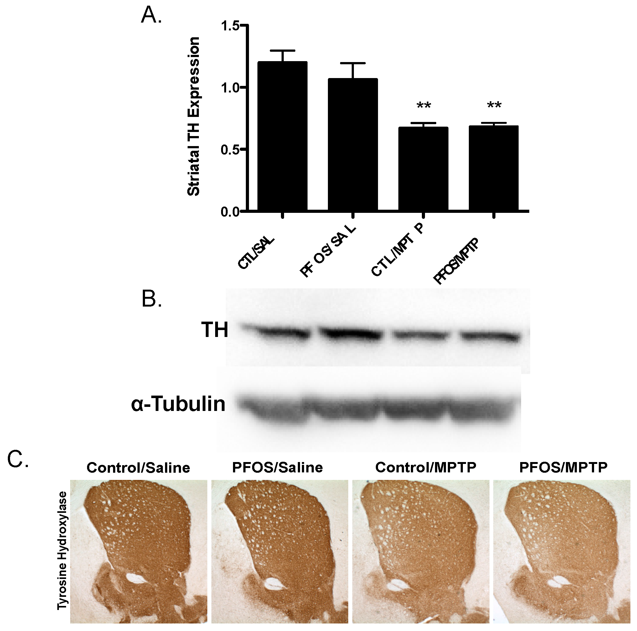 Medsci 04 00013 g005