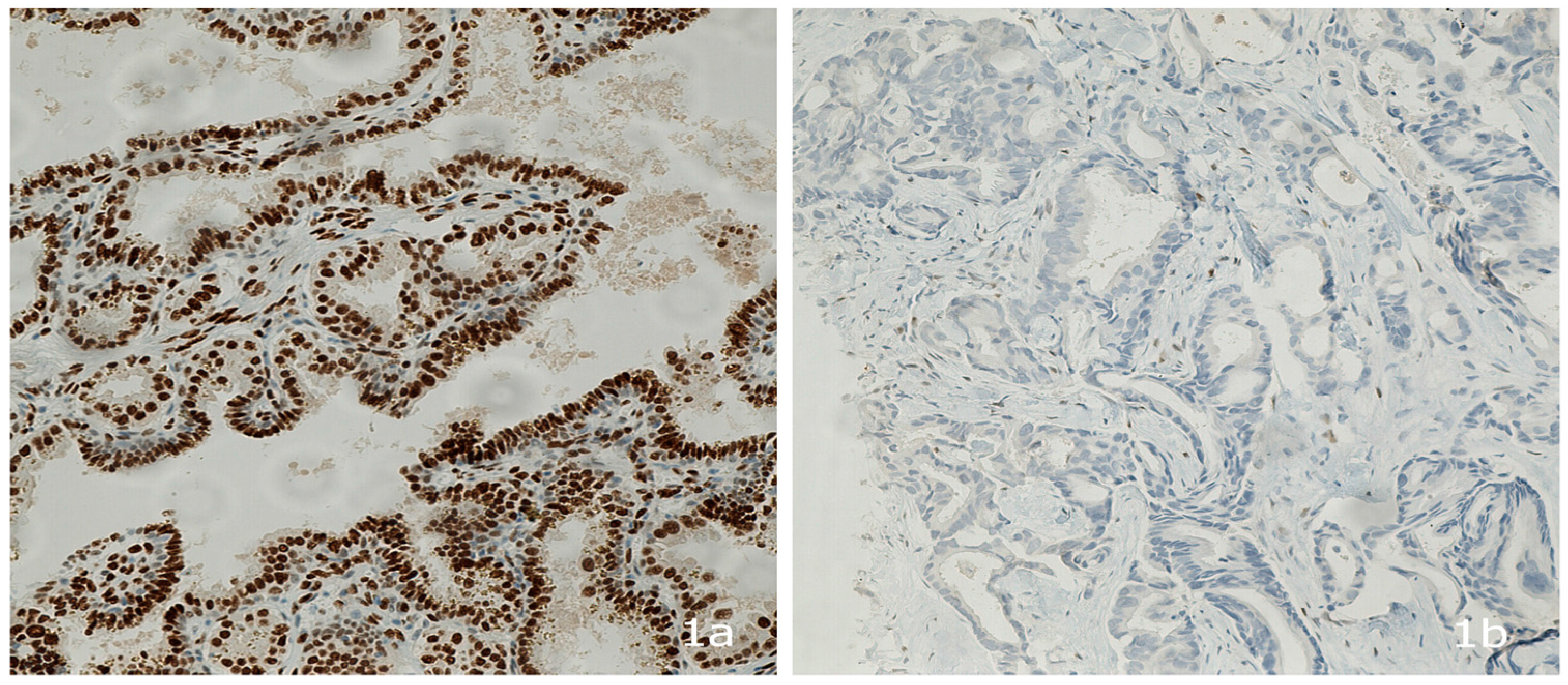 Medsci 04 00015 g001